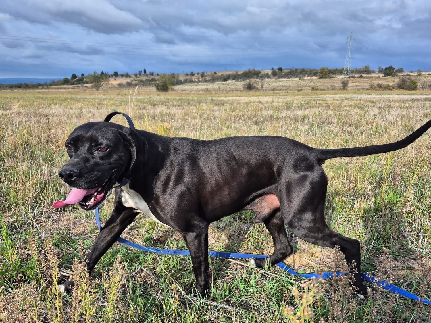 577333256_1242945387859167_6323086363483924493_n