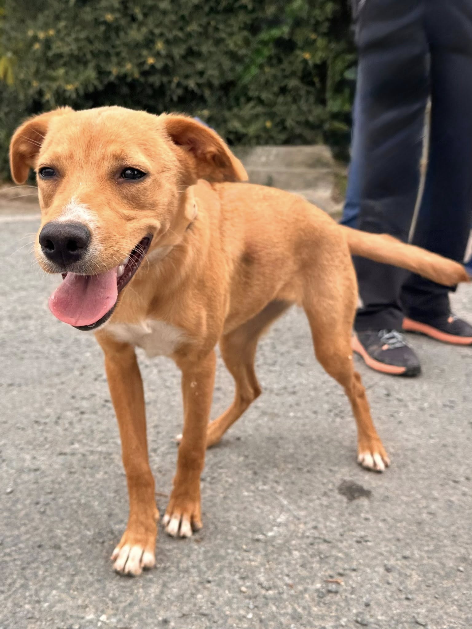 577378695_1245157794304593_1237158129451785142_n