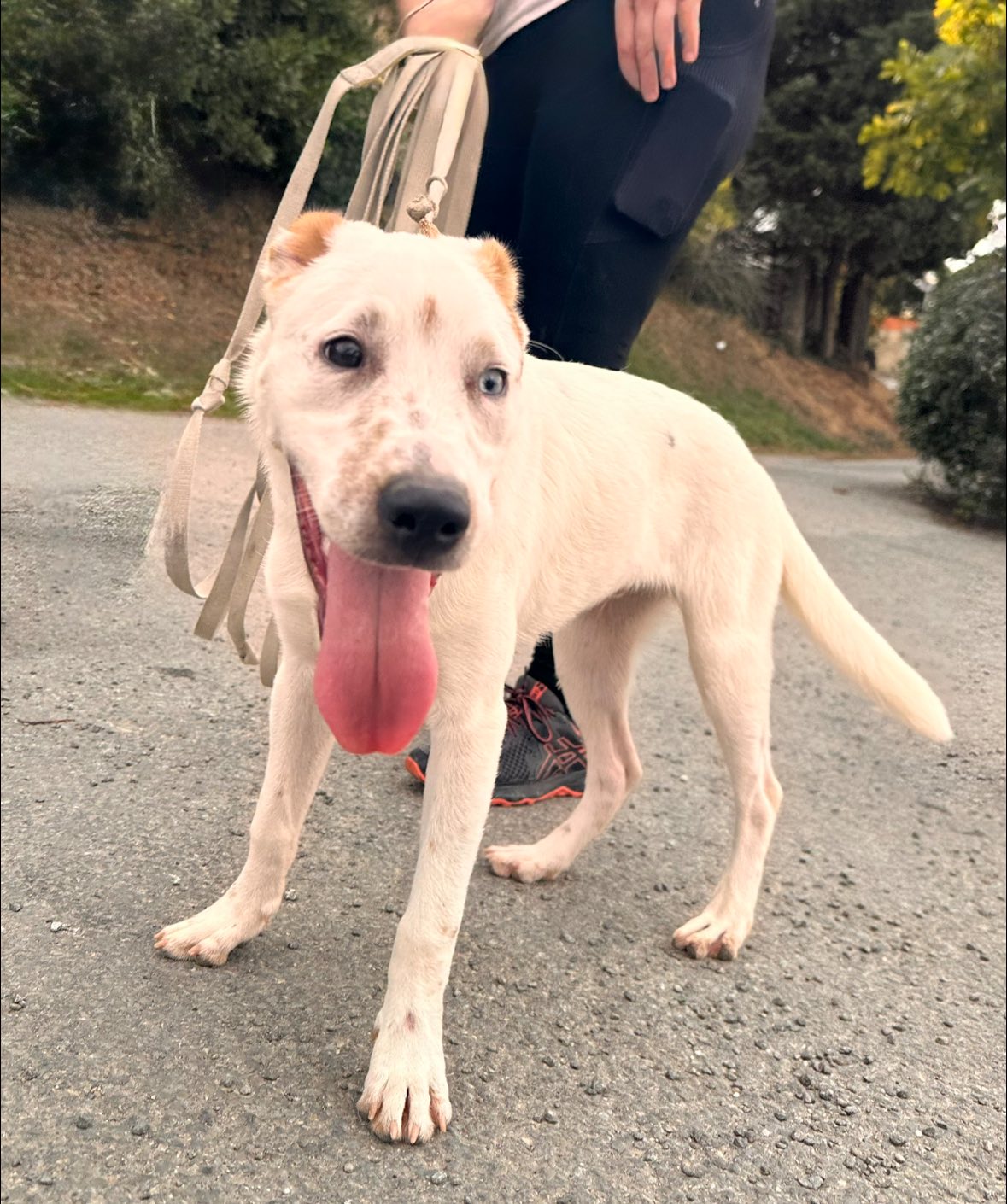 577484793_1244874680999571_7051469308367055396_n