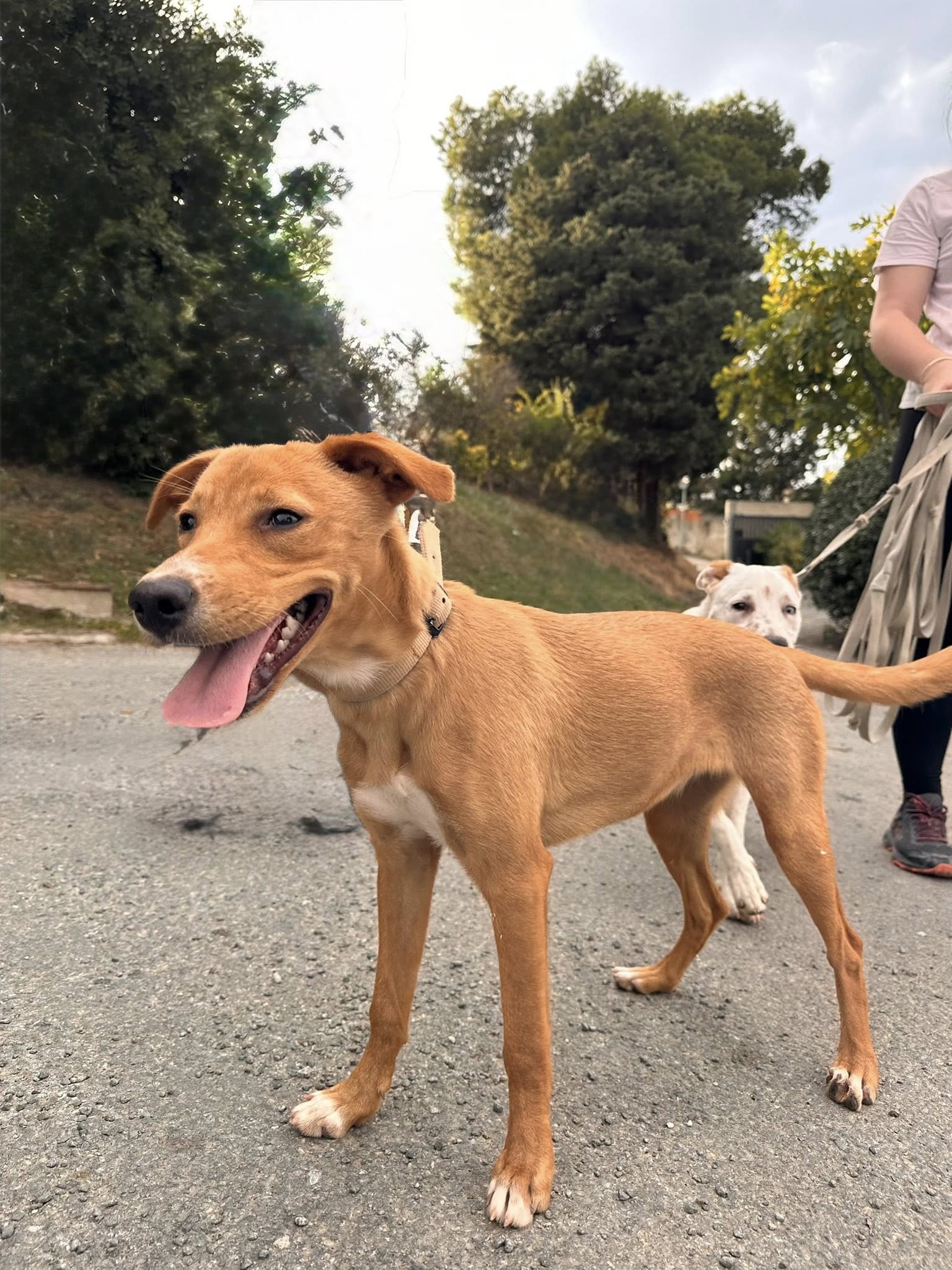 577728725_1245157787637927_3614889651386585020_n