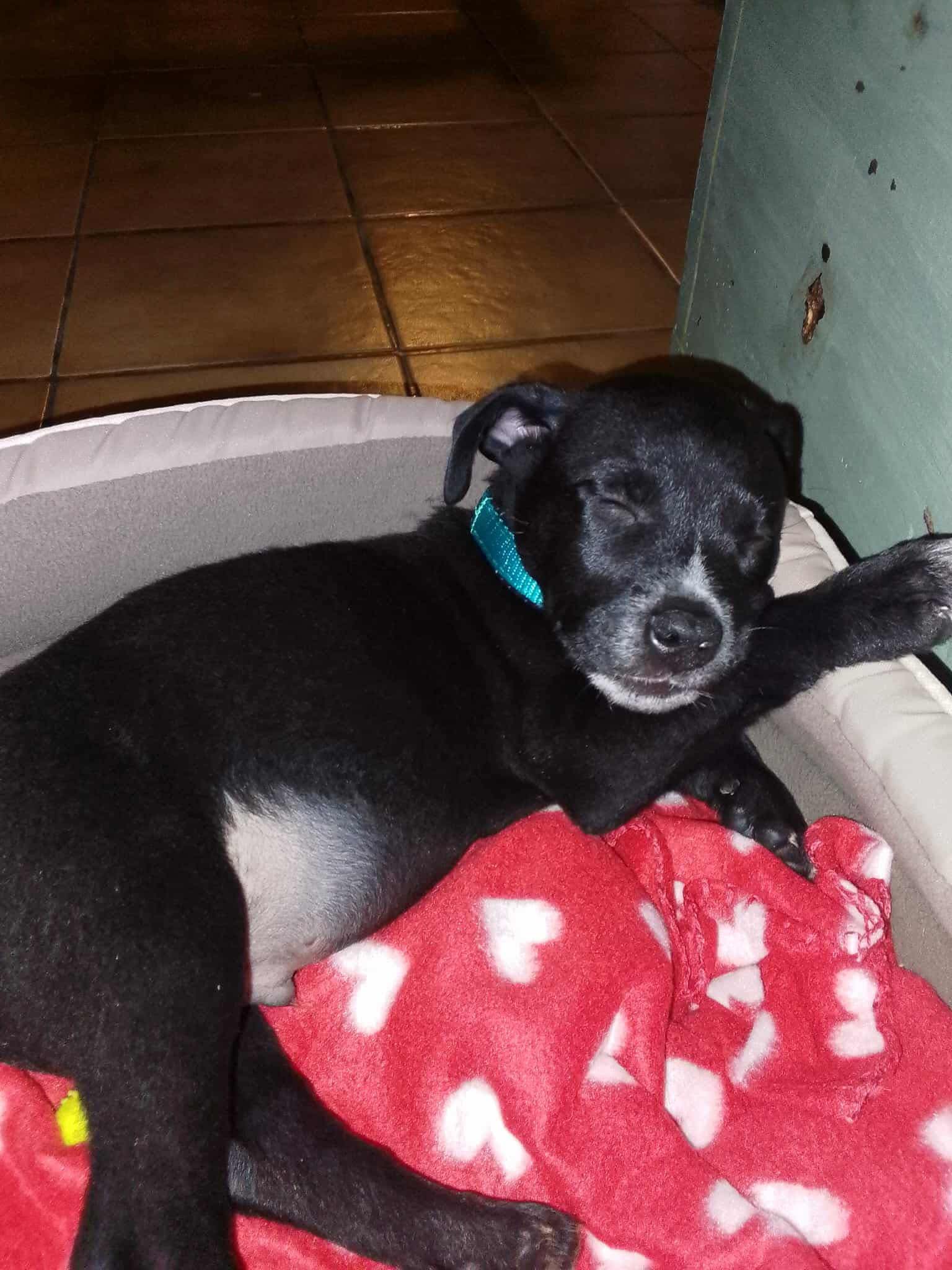 577872805_1246407647512941_3892407434622497226_n