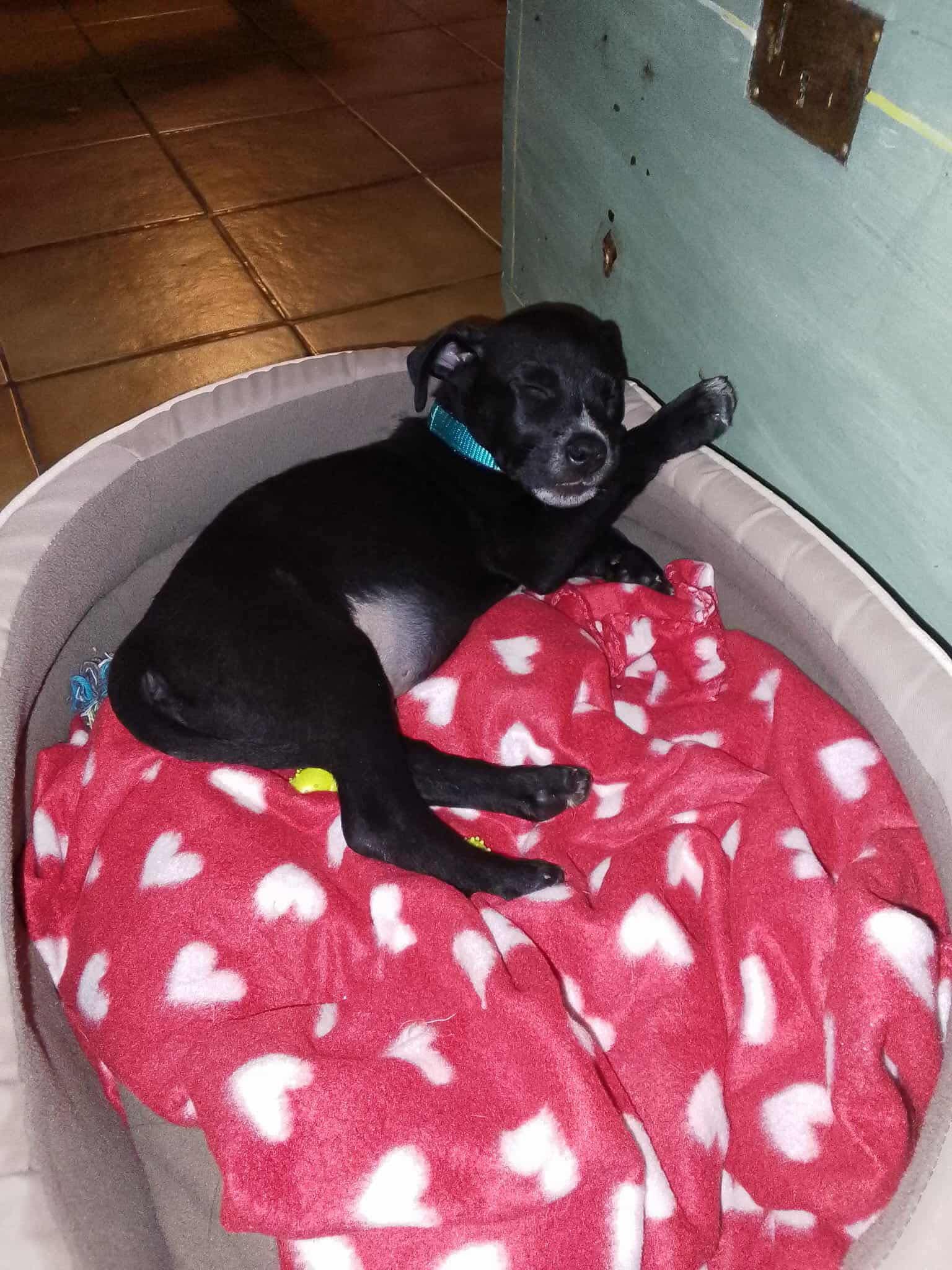 579259145_1246407670846272_5078599252451980260_n