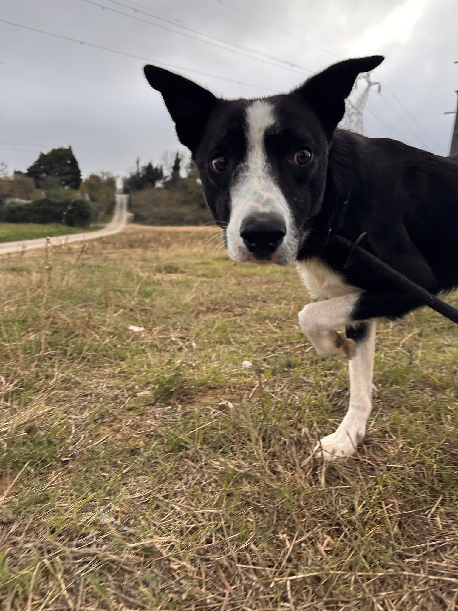 580547801_1249116043908768_6169881045094902983_n