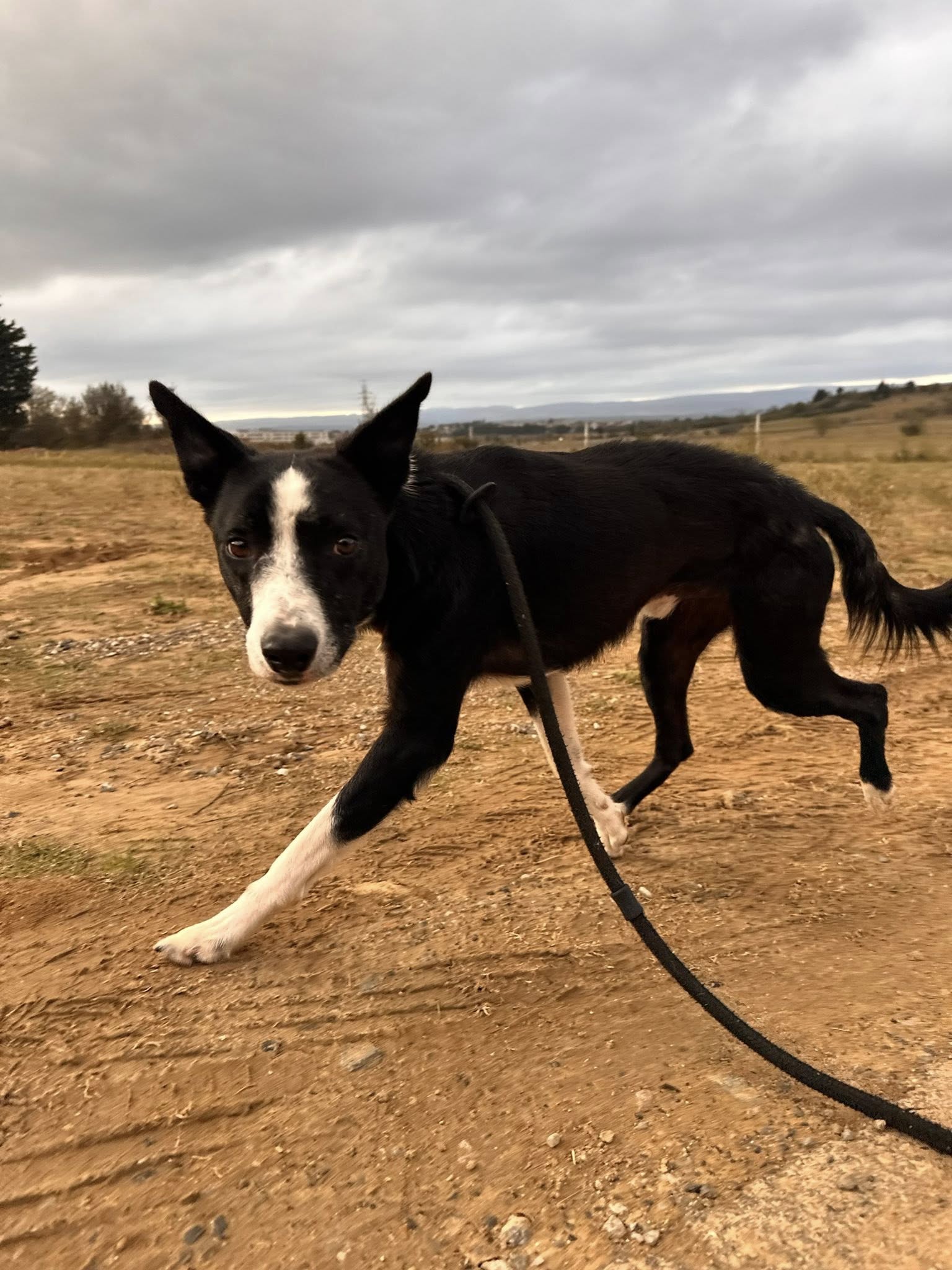 580571474_1249116037242102_5208683661869404295_n