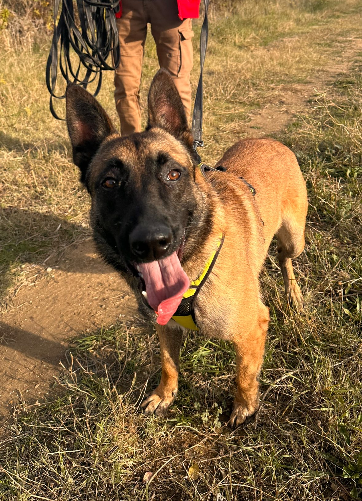 581707565_1249912937162412_8220463568289108447_n