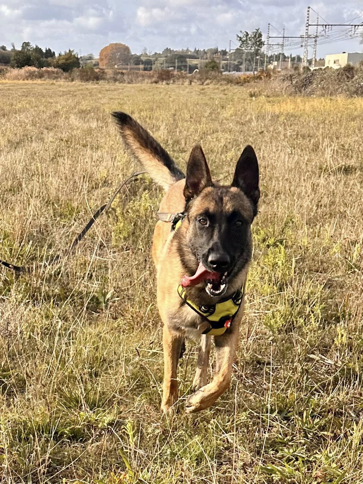 581715049_1249914933828879_5260959279727205552_n