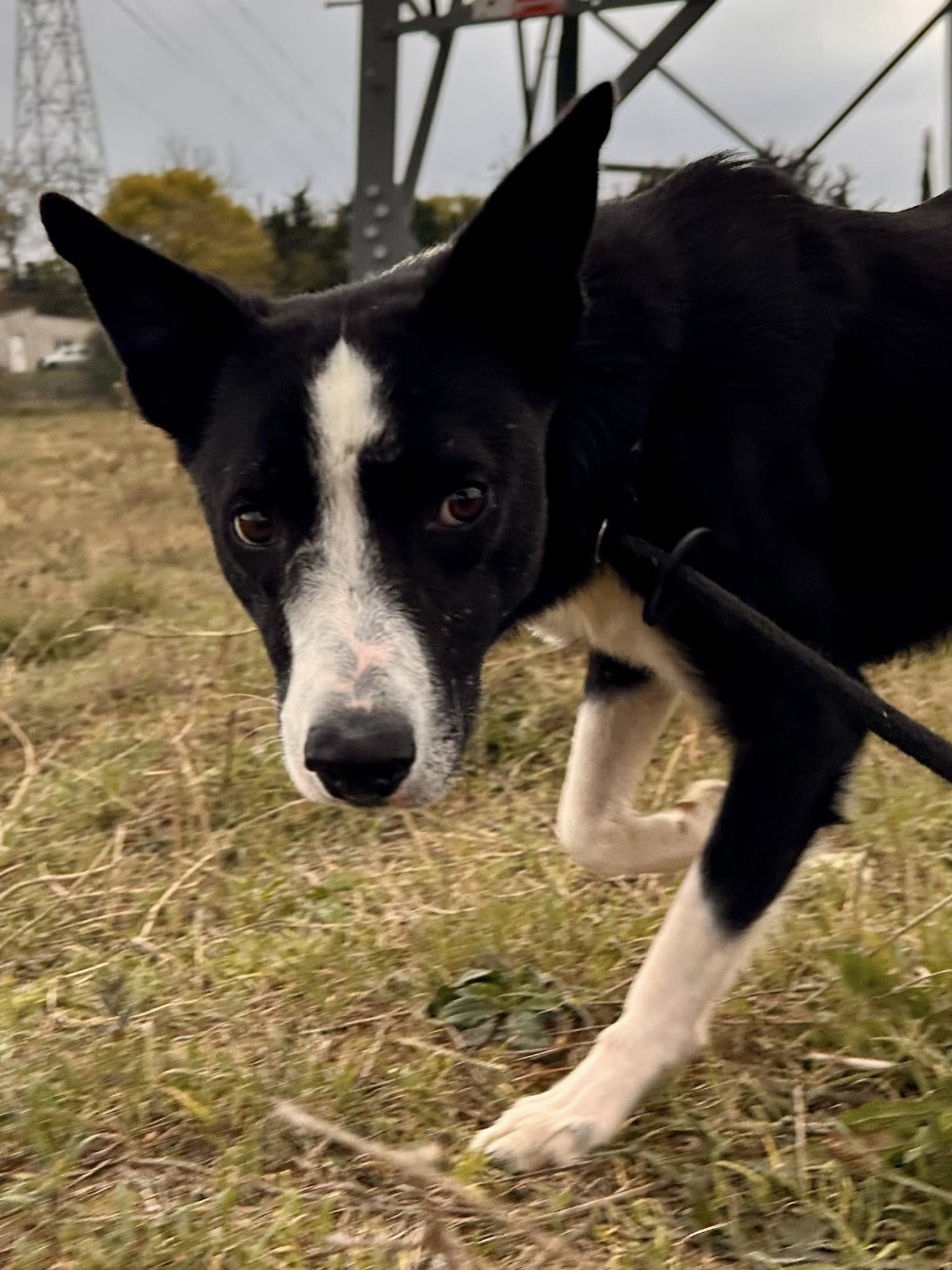 581725731_1249116110575428_3964313336000880610_n