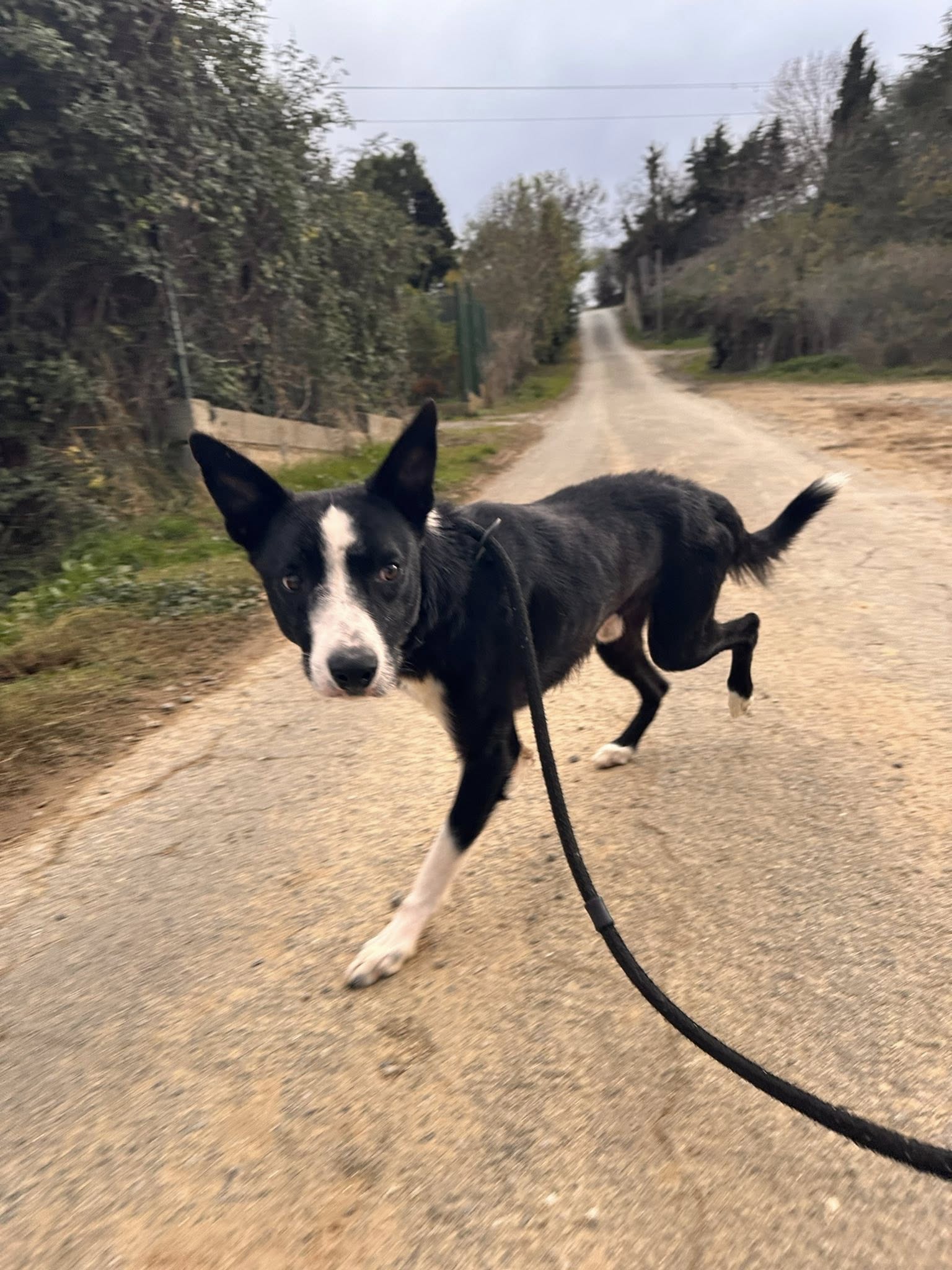 581932191_1249116070575432_1785557820695229378_n