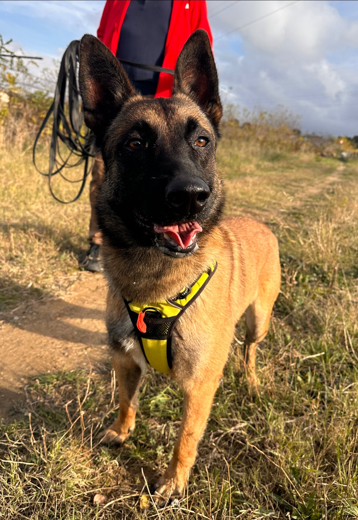 583643744_1249912427162463_239727221825382510_n