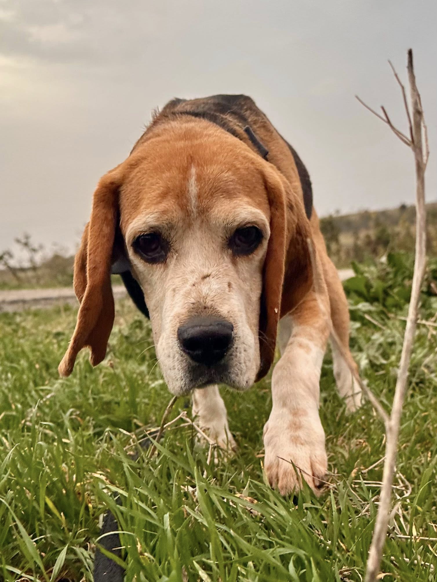 584440933_1254668720020167_8704651530625038079_n