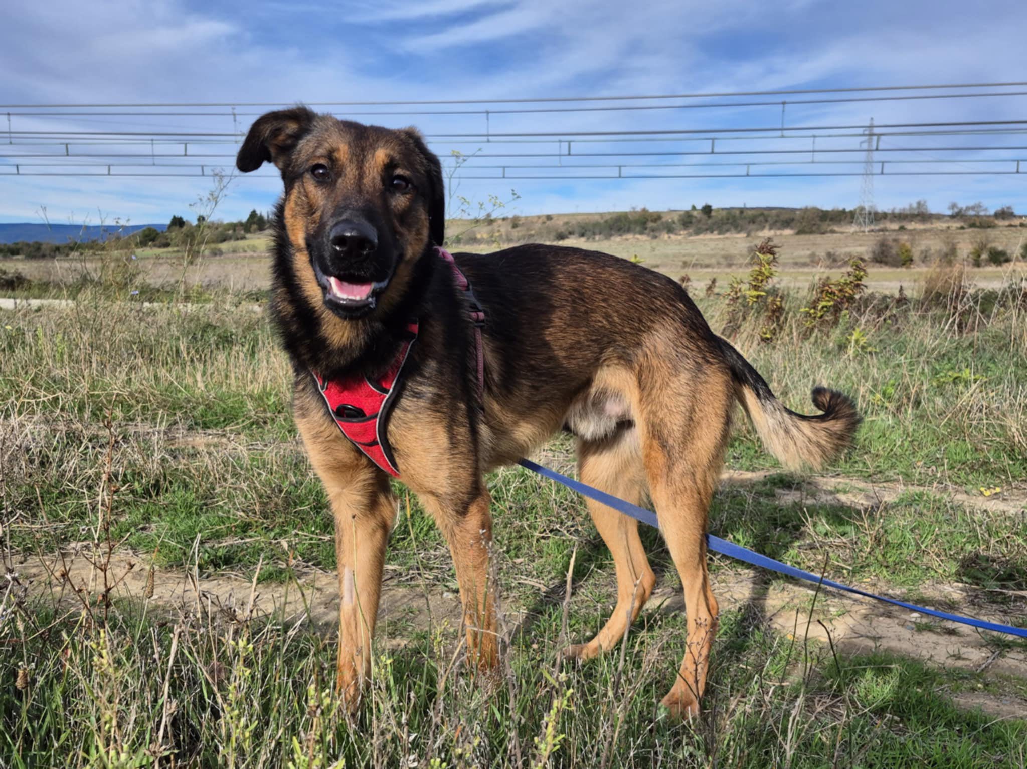 584533116_1253085483511824_5859912885208726988_n