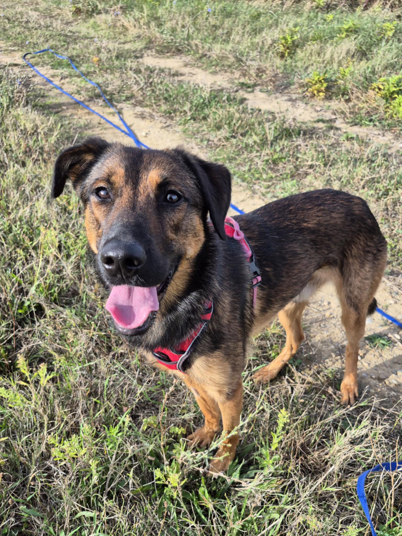 584880537_1253085510178488_1658343084034221153_n