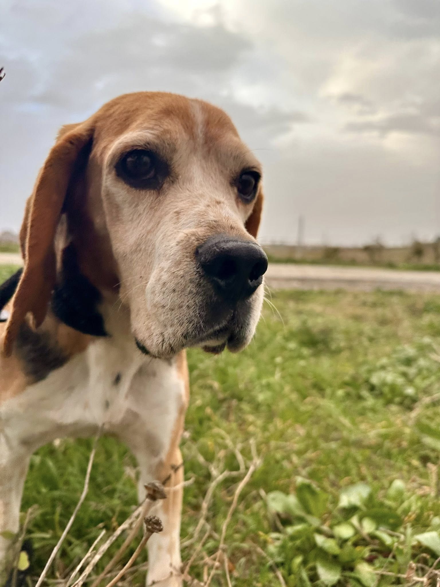 Lire la suite à propos de l’article Néné