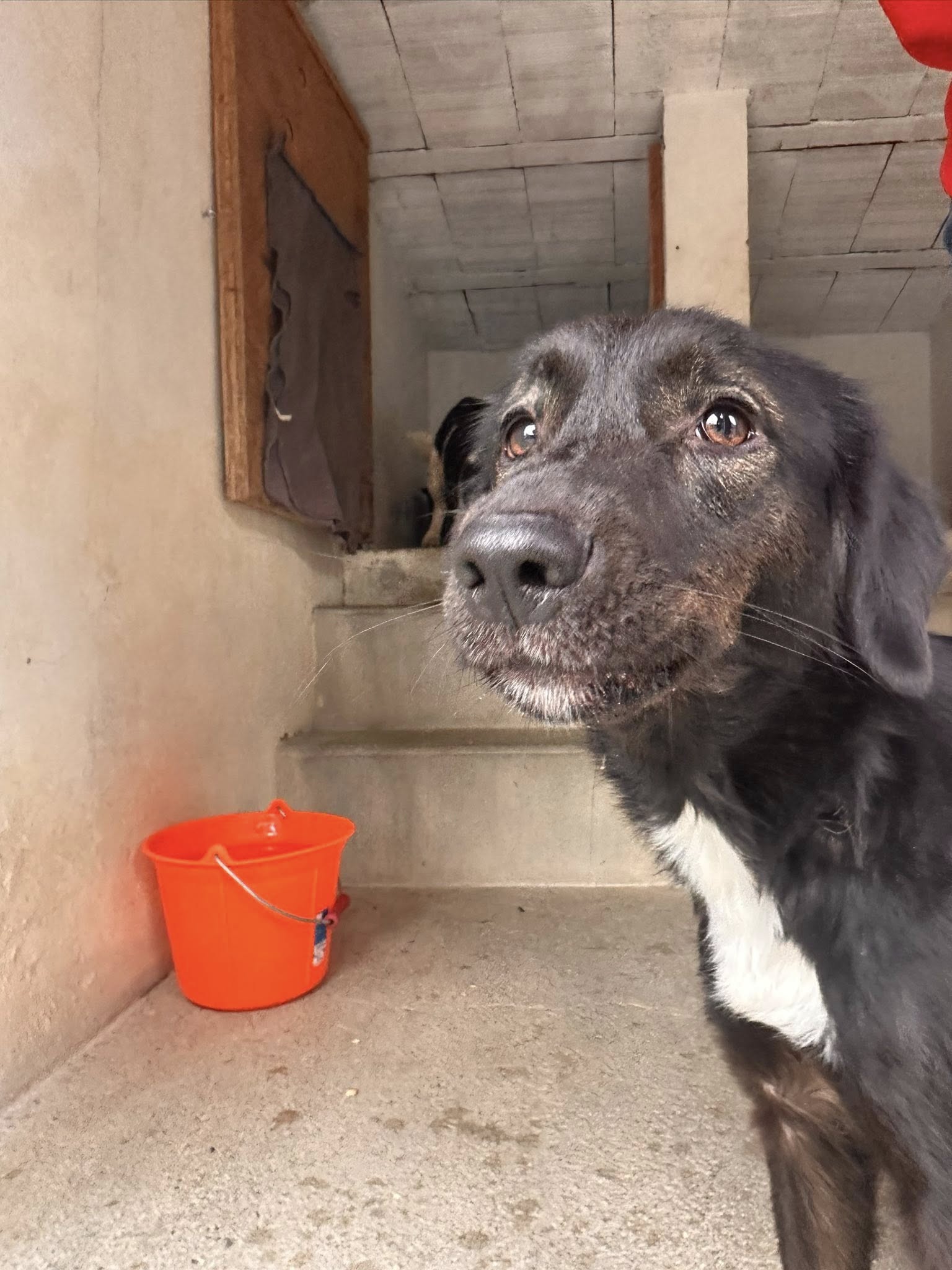 585549906_1255595063260866_2477377088619393849_n