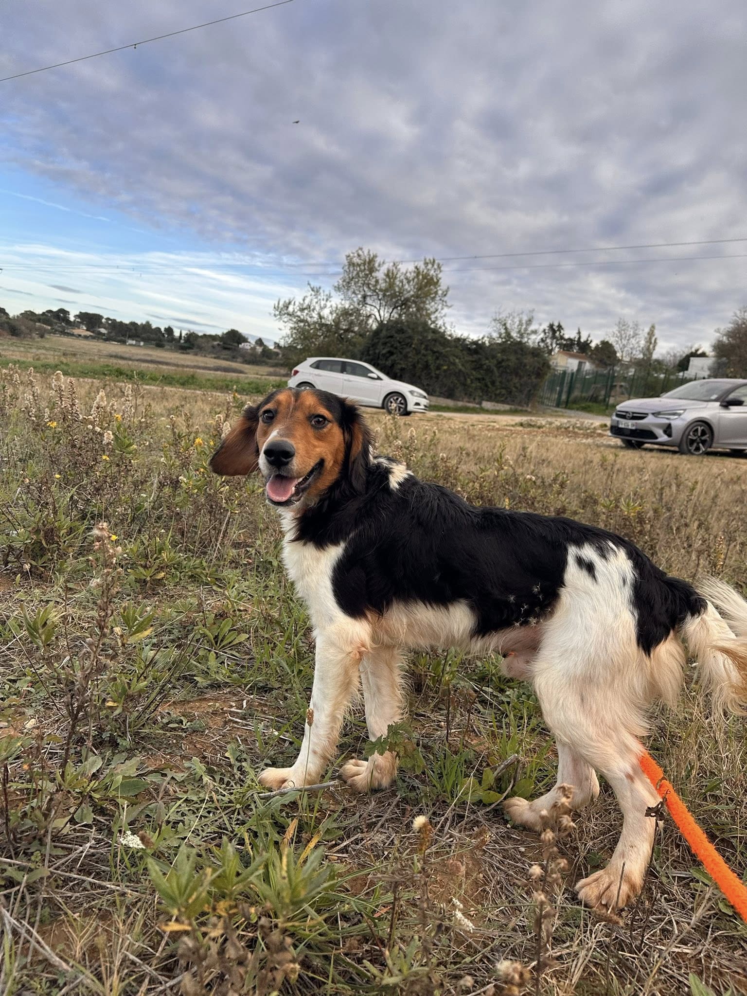 585551339_1255419266611779_3509533057522388388_n