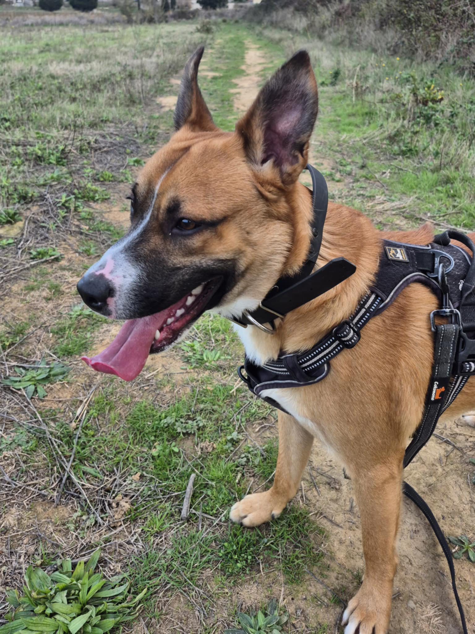 587036317_1257109969776042_73938303869146762_n