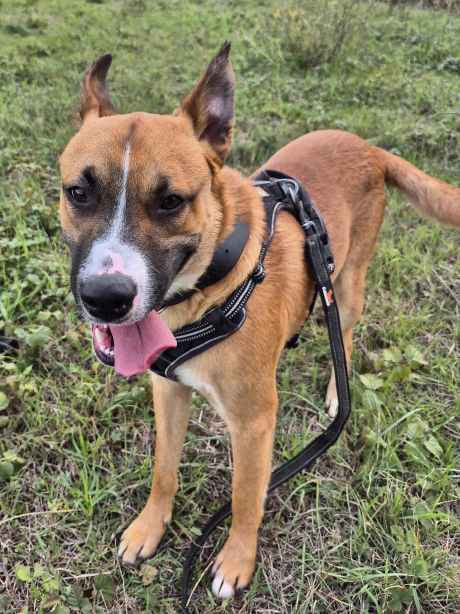 587056525_1257109899776049_7462014959769500714_n