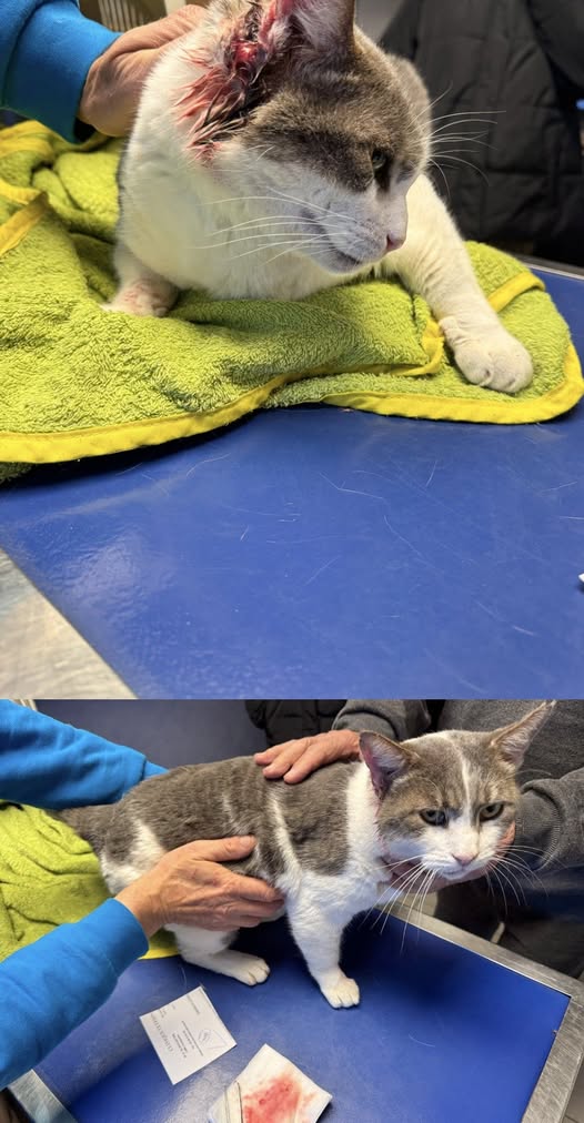 587183830_122165755442764950_690005788373834784_n