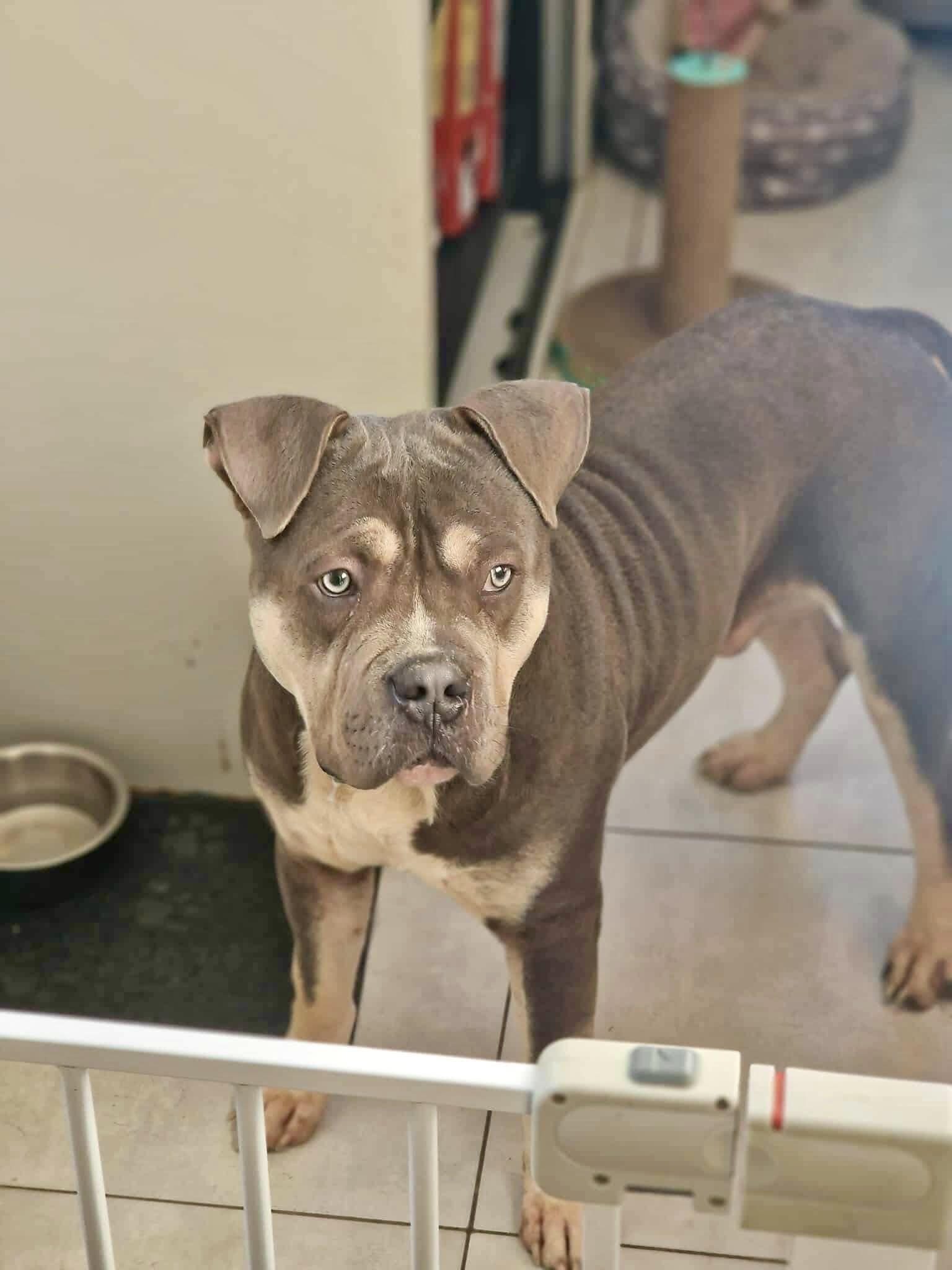 587840473_1258676609619378_6201293552866280835_n