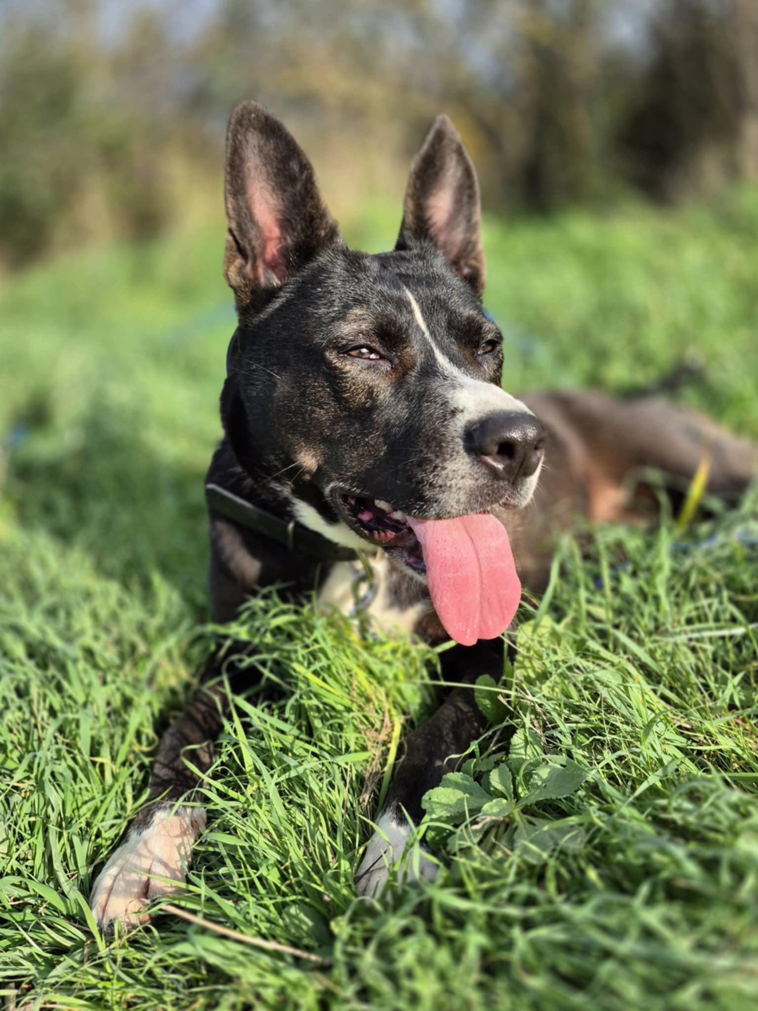 Lire la suite à propos de l’article Octavia