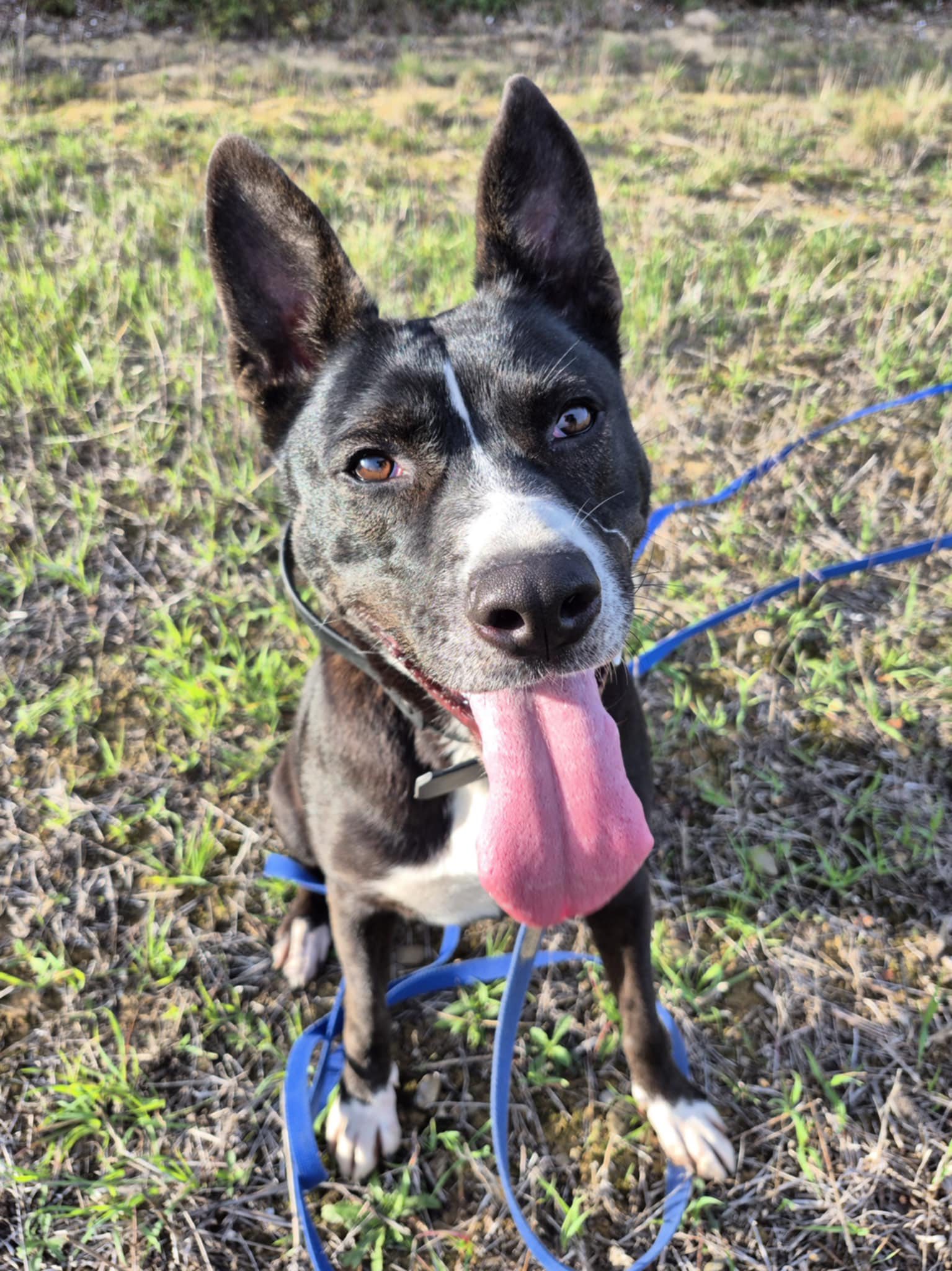 589082821_1260319766121729_5894581663479000724_n