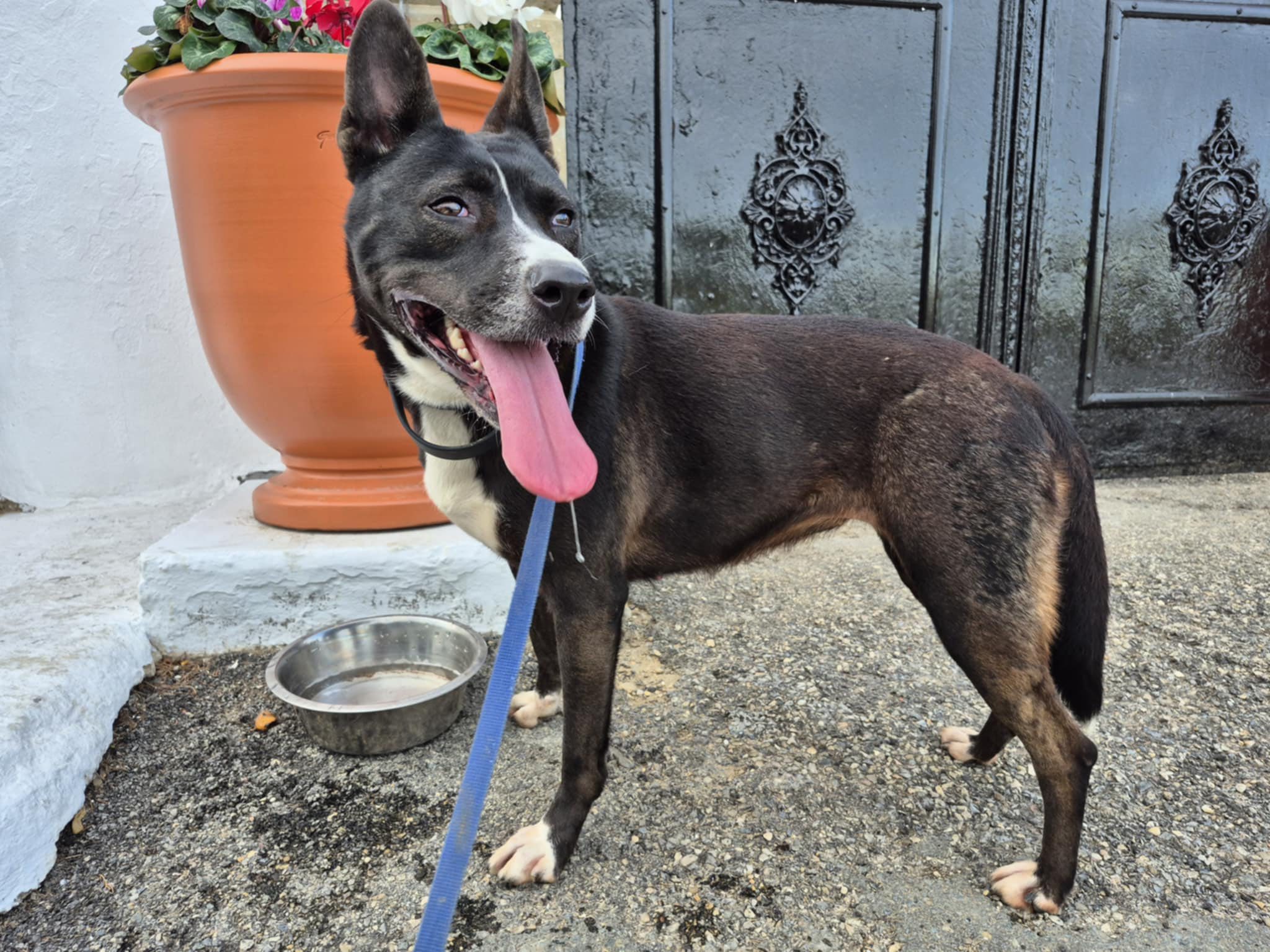 589142676_1260319742788398_3554284428371304833_n