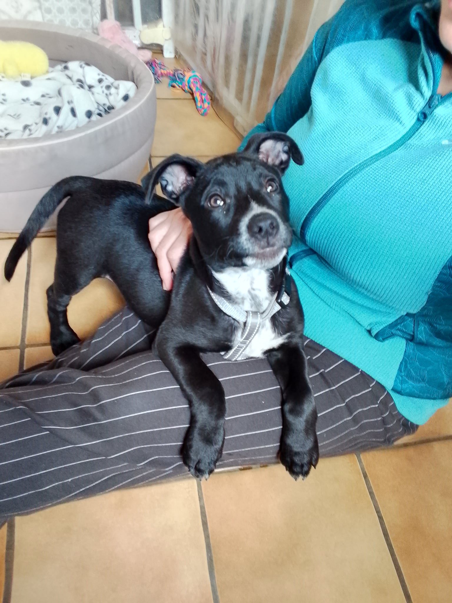 589286395_1261078192712553_1757551343917665461_n