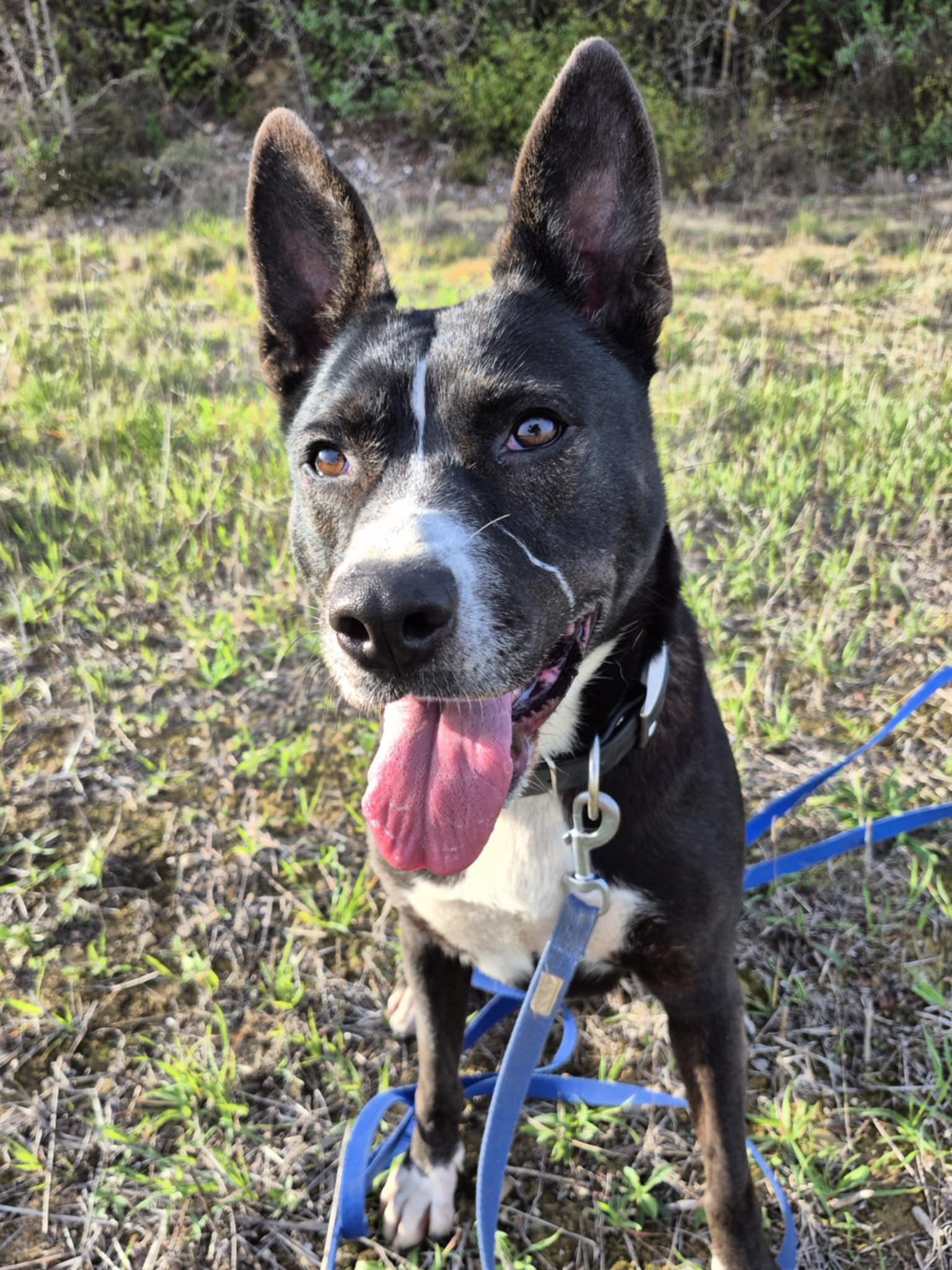 589878152_1260319759455063_2198292242446101229_n