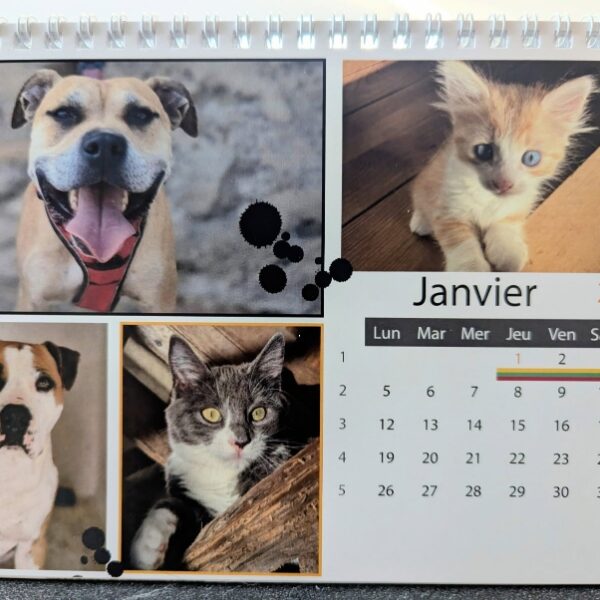 Calendrier SCPA 2026