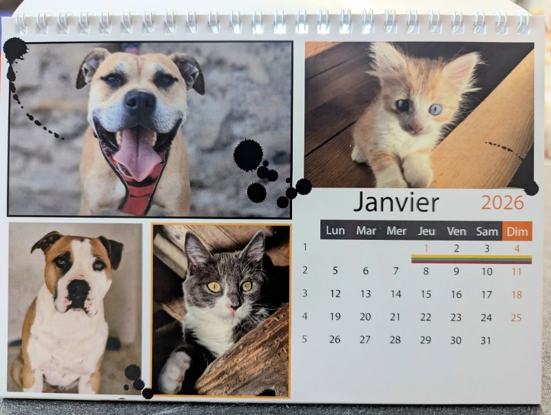 Lire la suite à propos de l’article Calendrier SCPA 2026