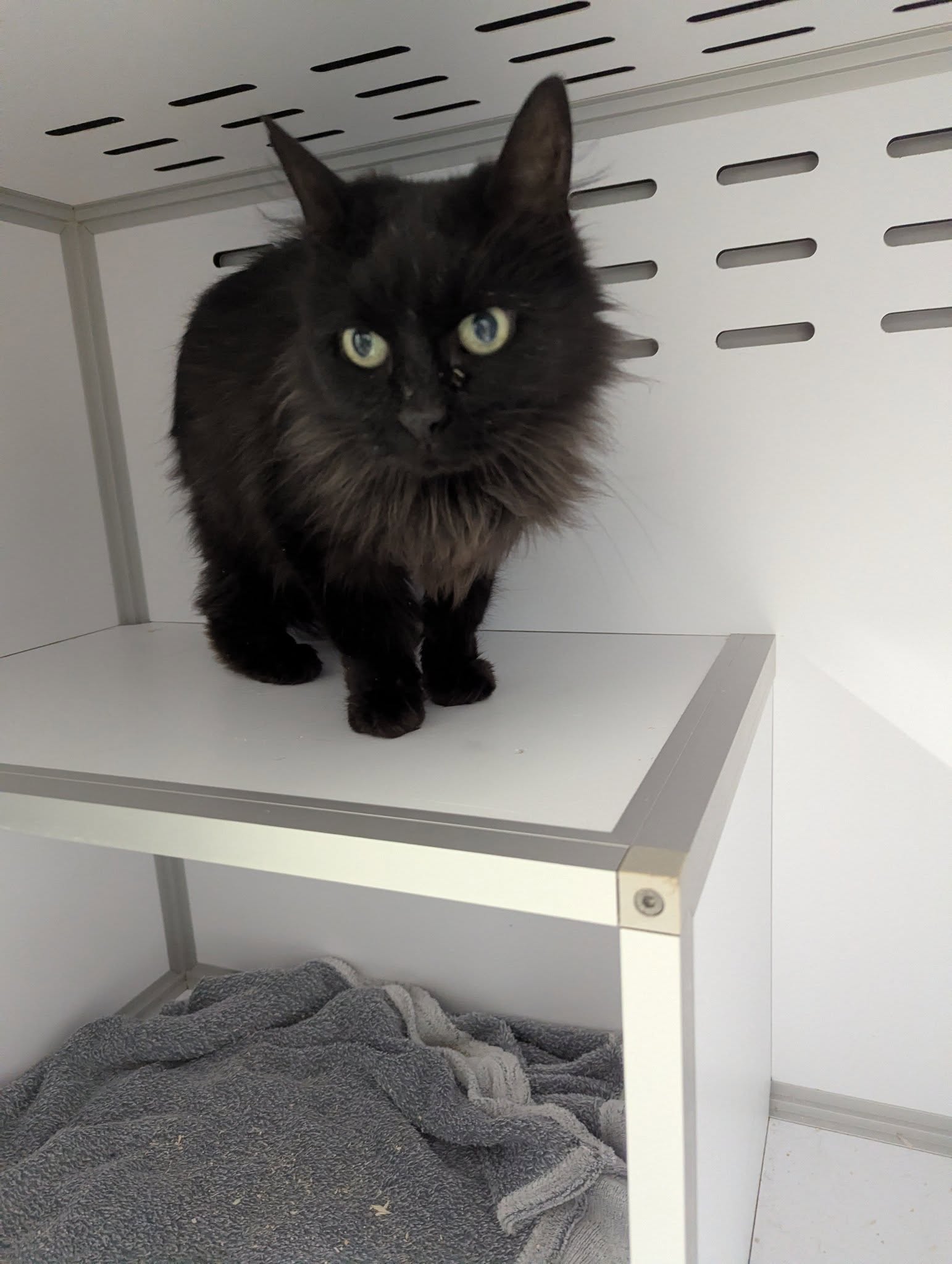 Lire la suite à propos de l’article 27/11 – FOURRIÈRE – A622