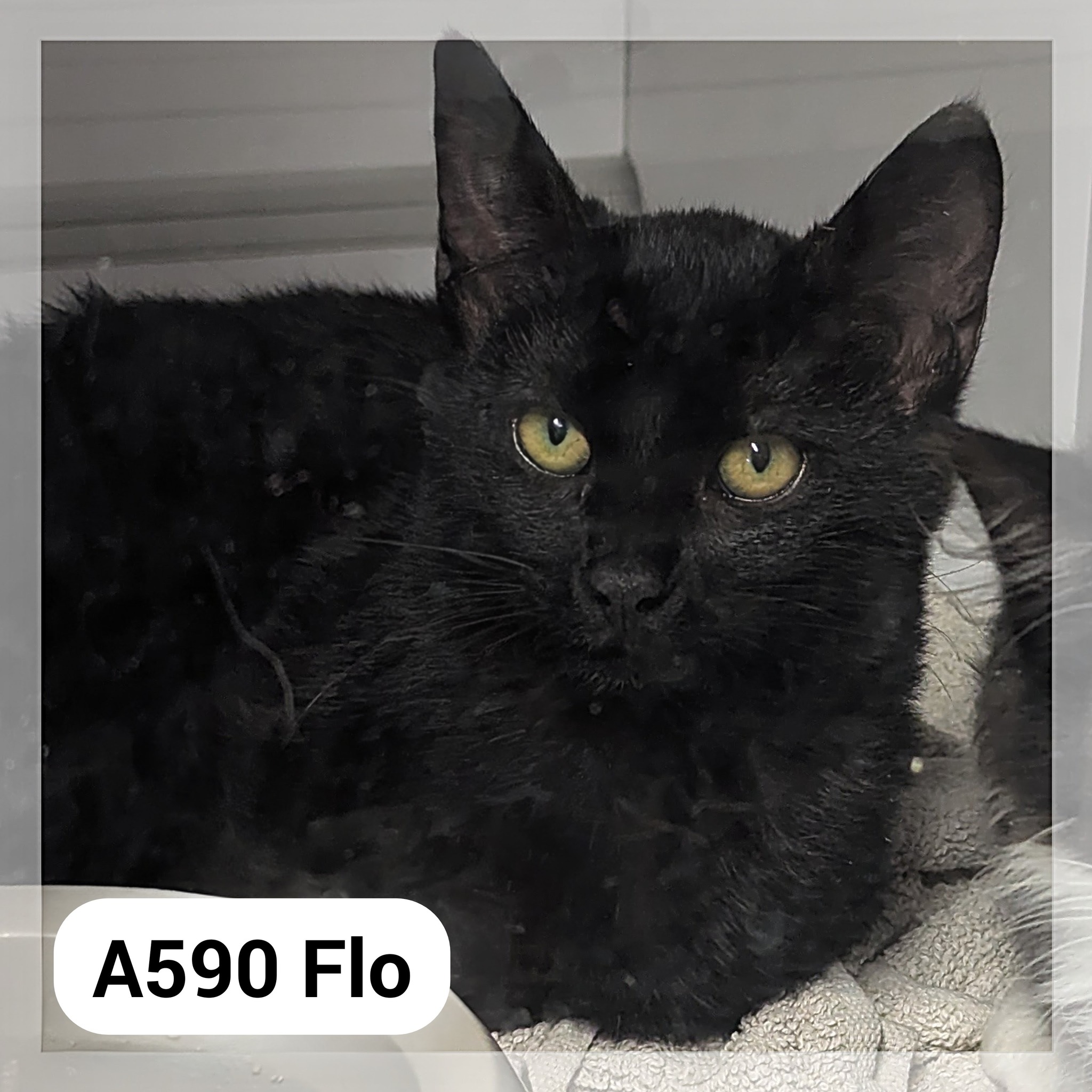 Lire la suite à propos de l’article Flo