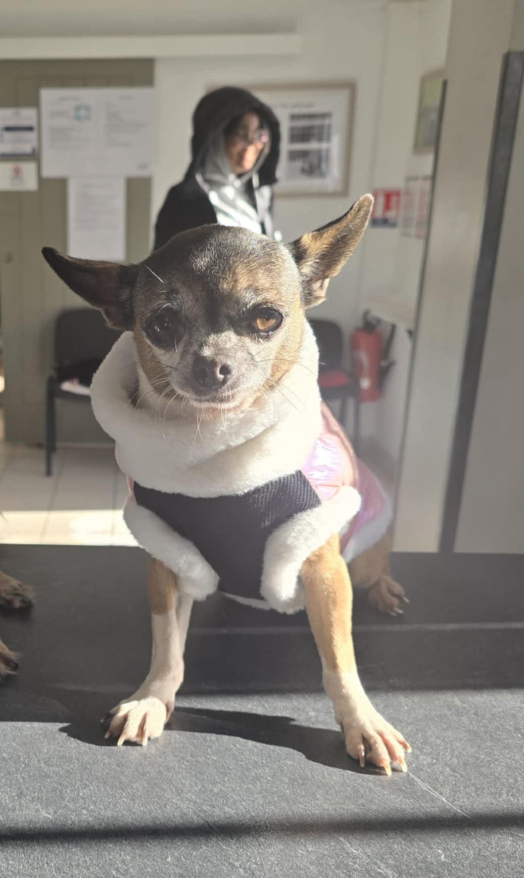 aec0d141-263a-4771-8e2d-f940dacb1a1c