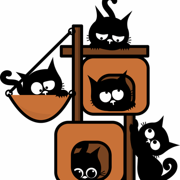 Sauvetage – Actualité du refuge novembre 2025