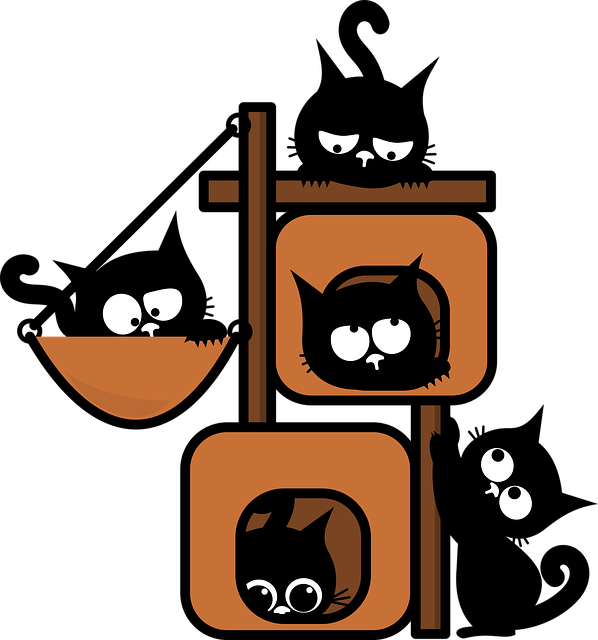 Lire la suite à propos de l’article Sauvetage – Actualité du refuge novembre 2025