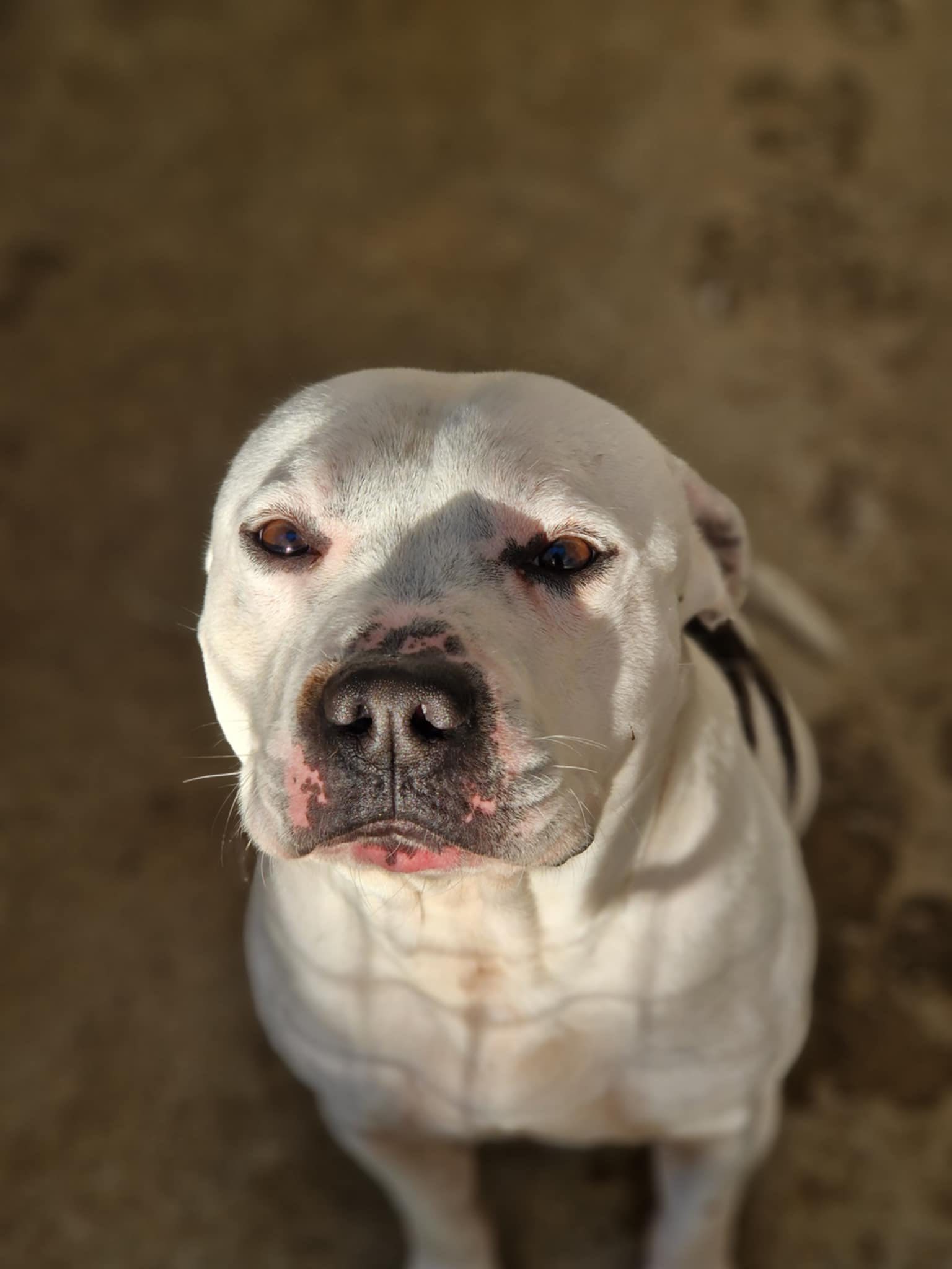 Lire la suite à propos de l’article Billy