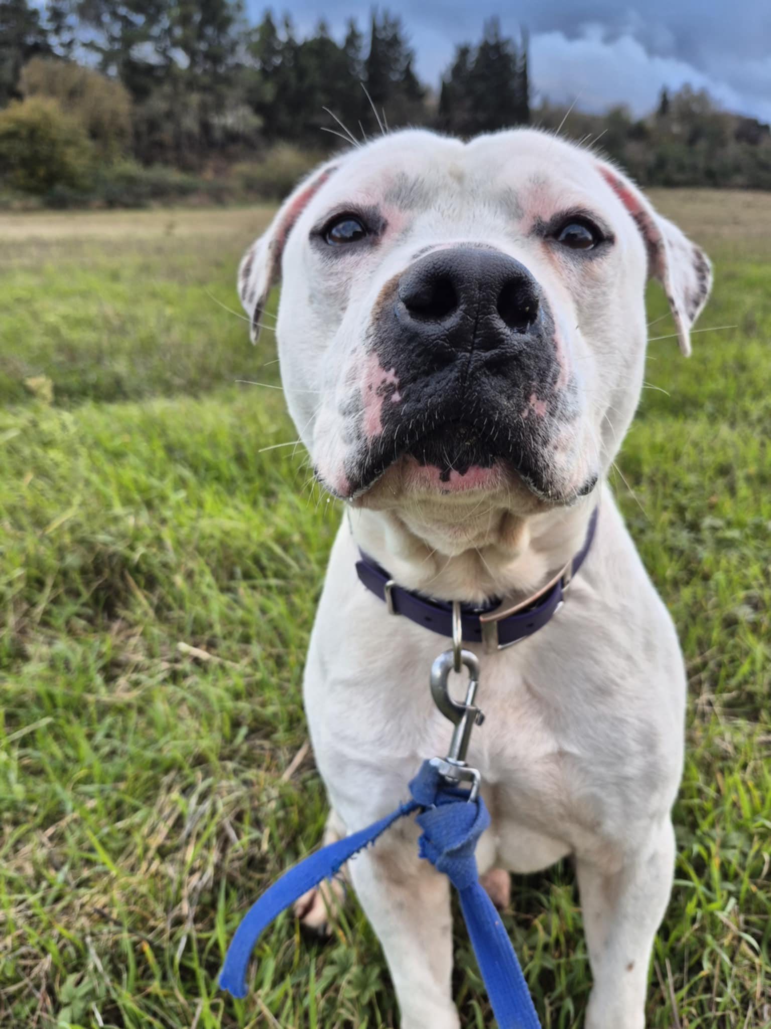 592190549_1262618795891826_8407244331666959773_n