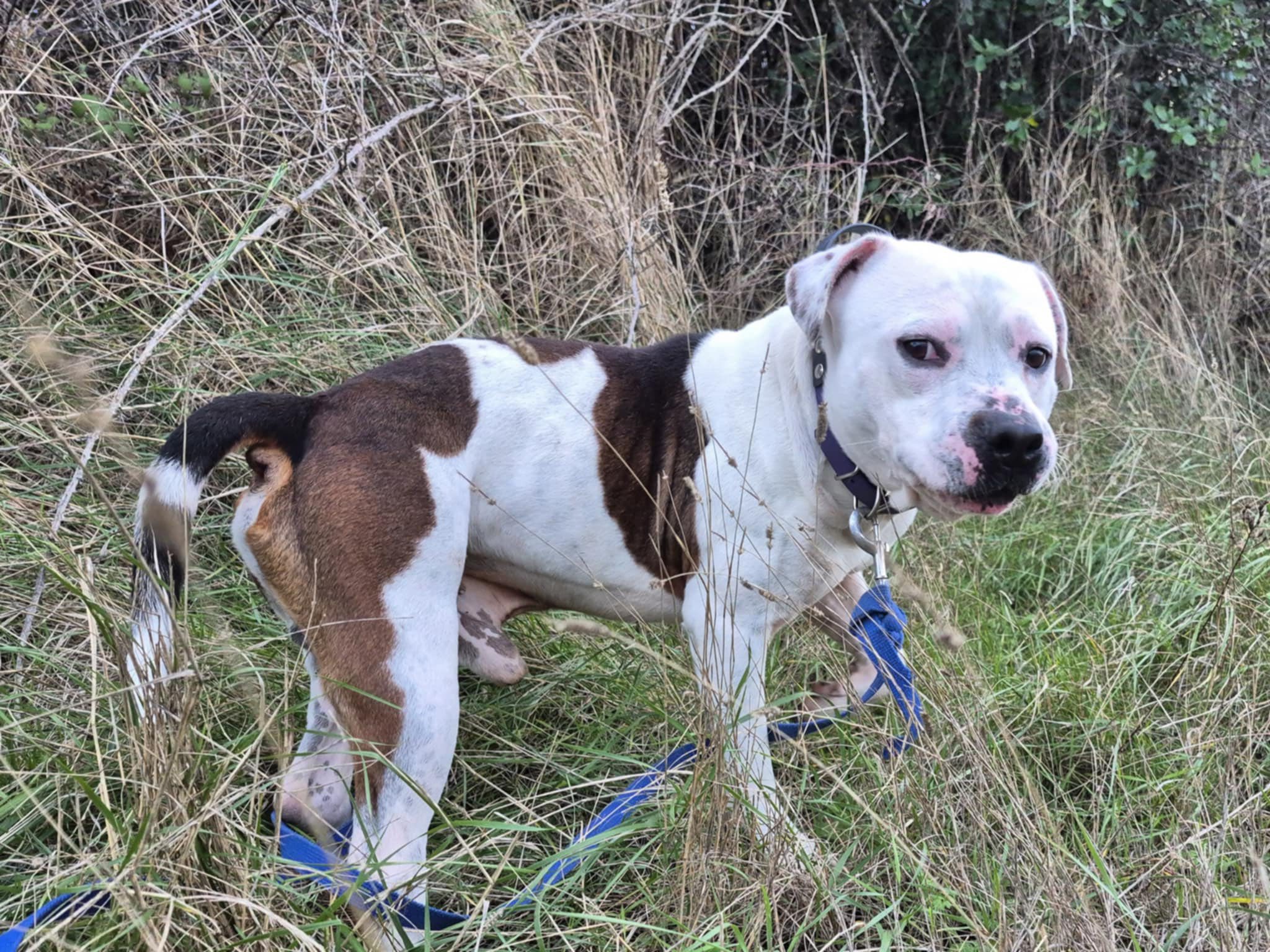 592383441_1262618889225150_999616635872552193_n