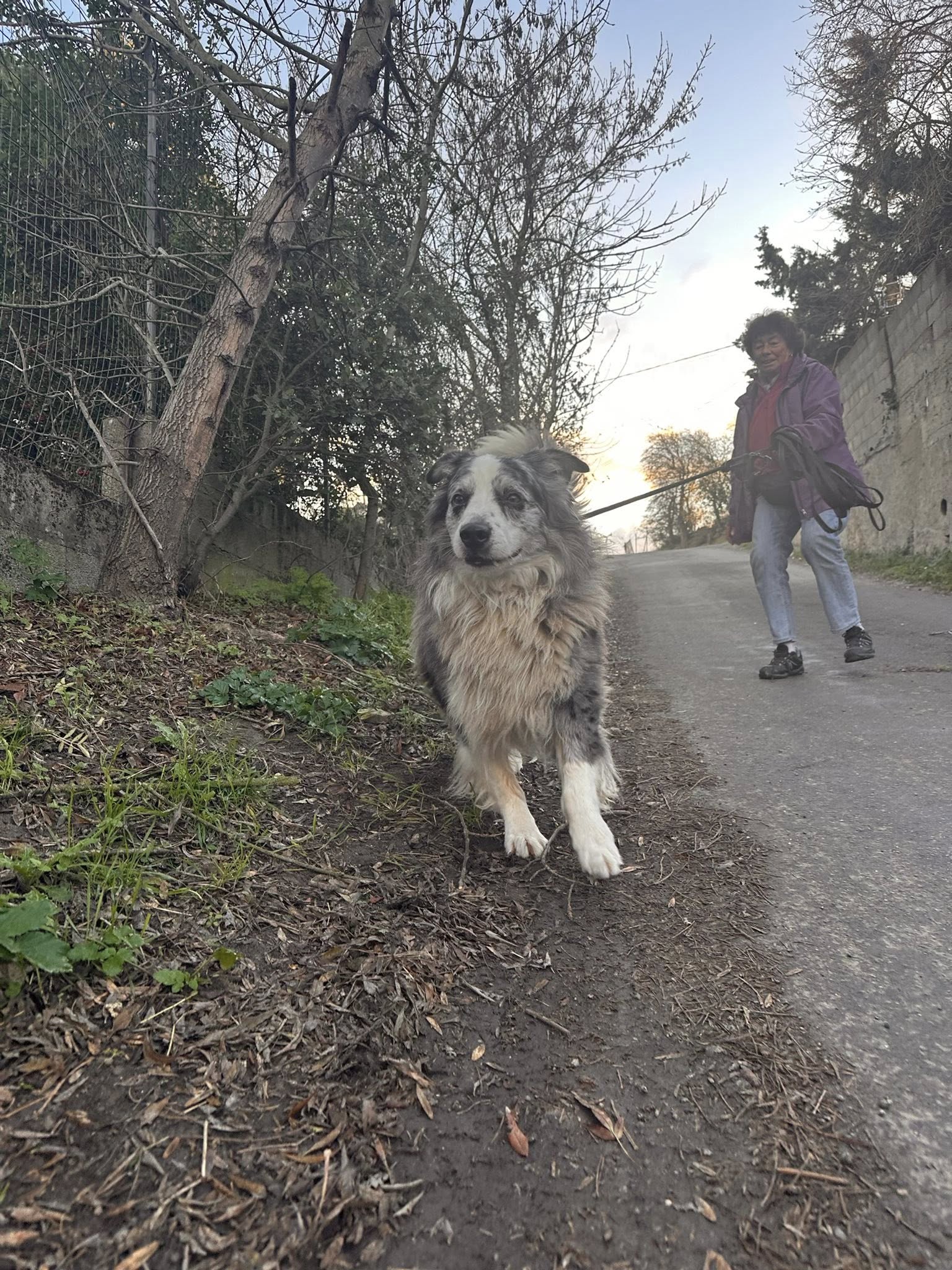 592719594_1266452212175151_1982068837228303108_n