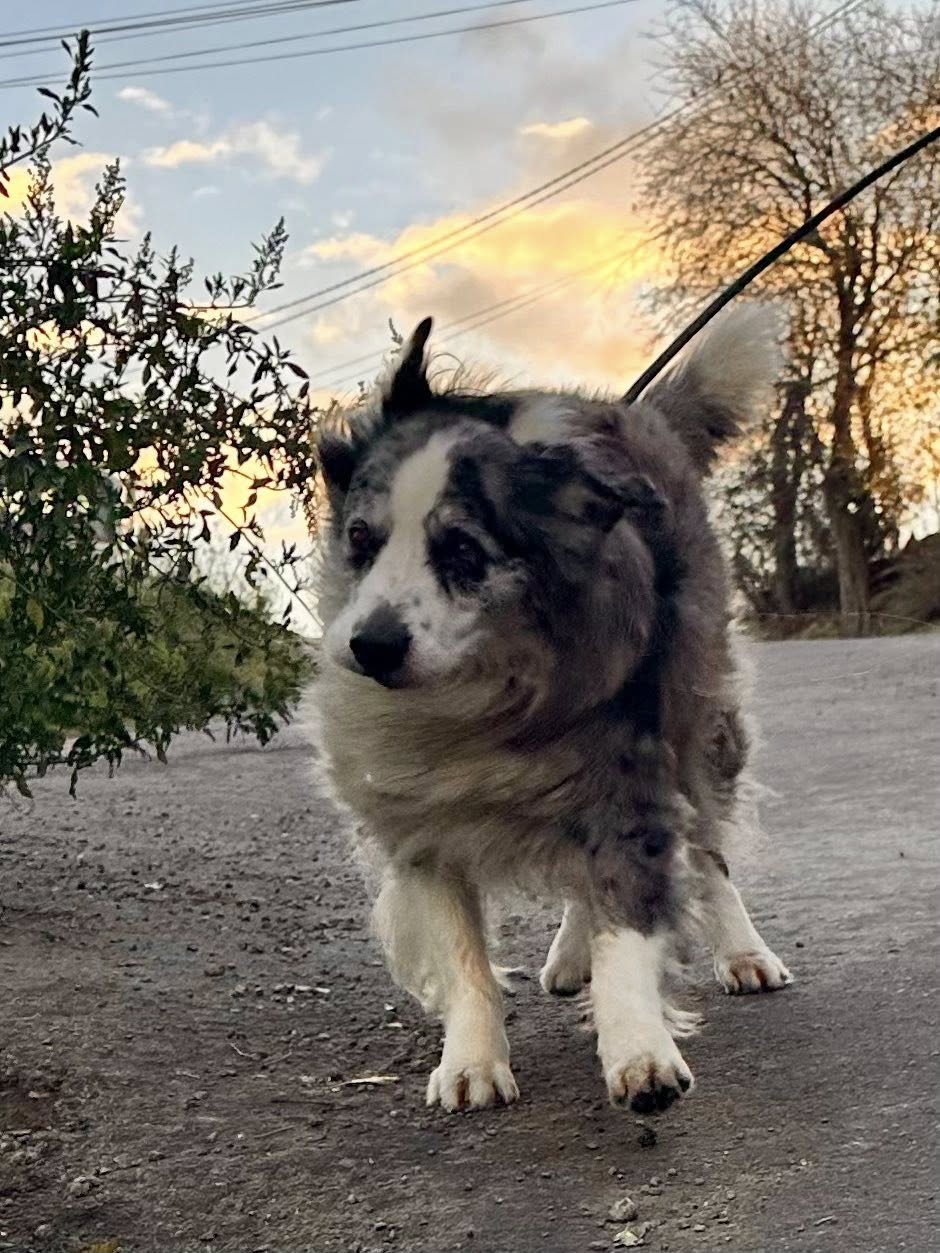 594541411_1266452235508482_5017245327527713870_n