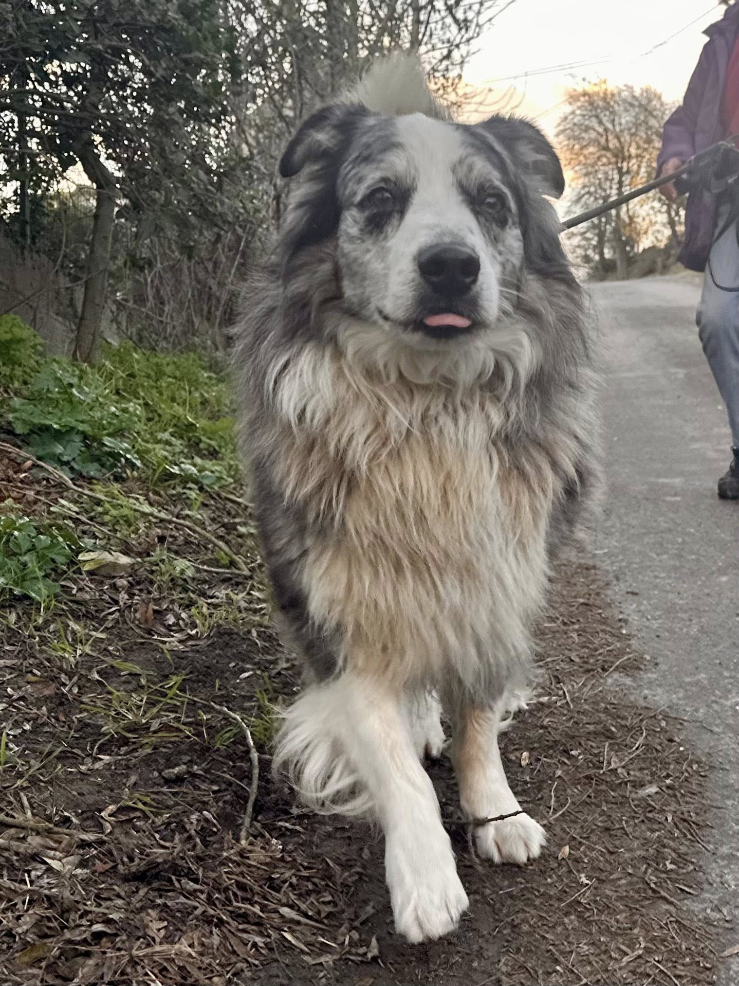 Lire la suite à propos de l’article Jouxy