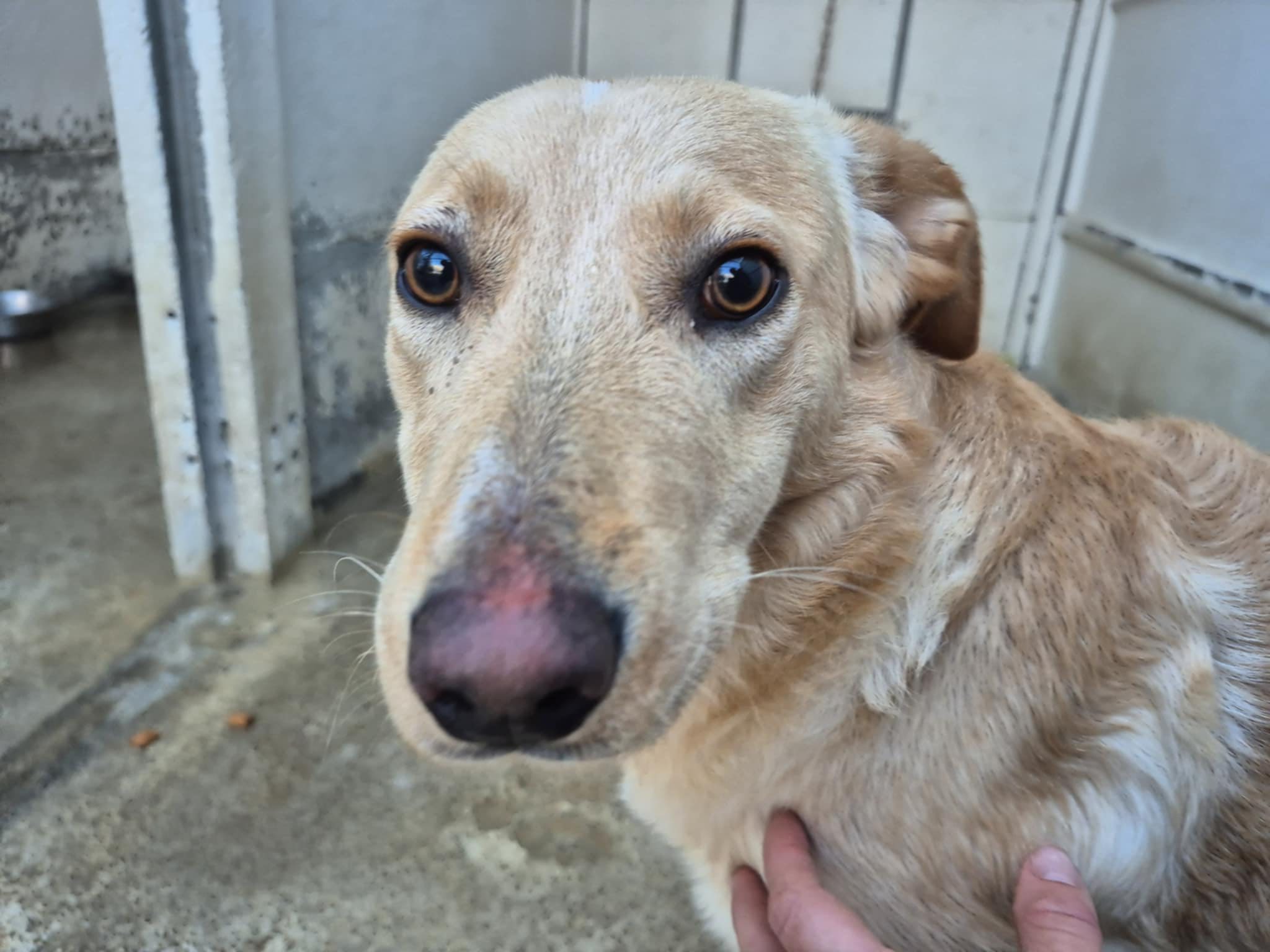 597412428_1270722325081473_4153900612869237967_n