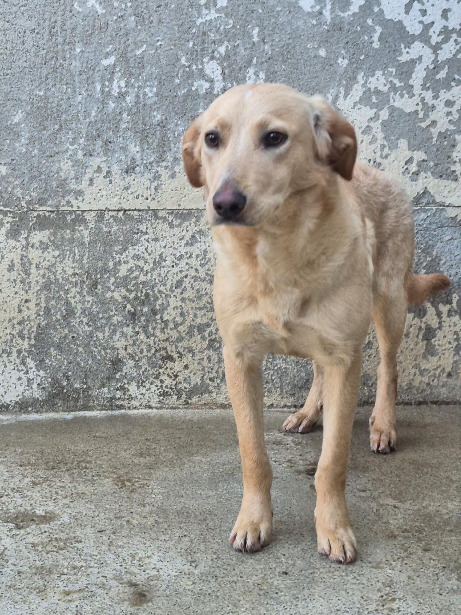 597496725_1270722281748144_199455112480532644_n