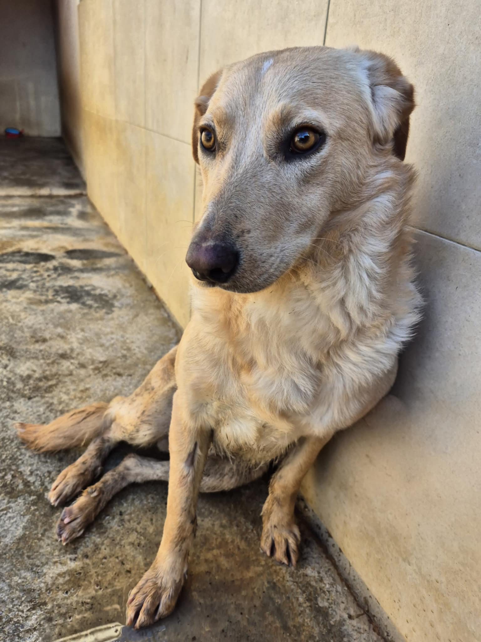 597502001_1270722315081474_4669561536183623422_n