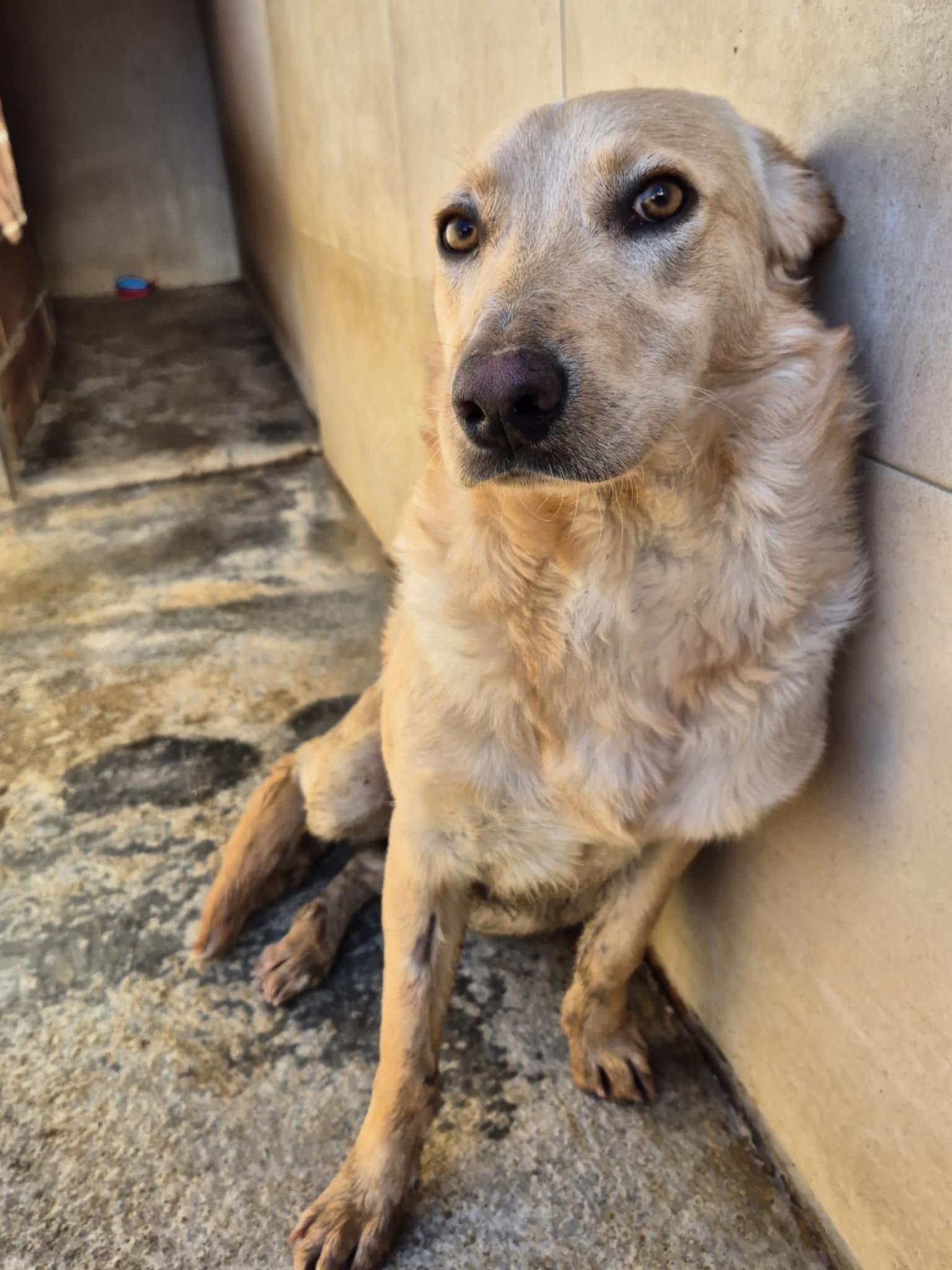 597816703_1270722308414808_3233640606595290026_n