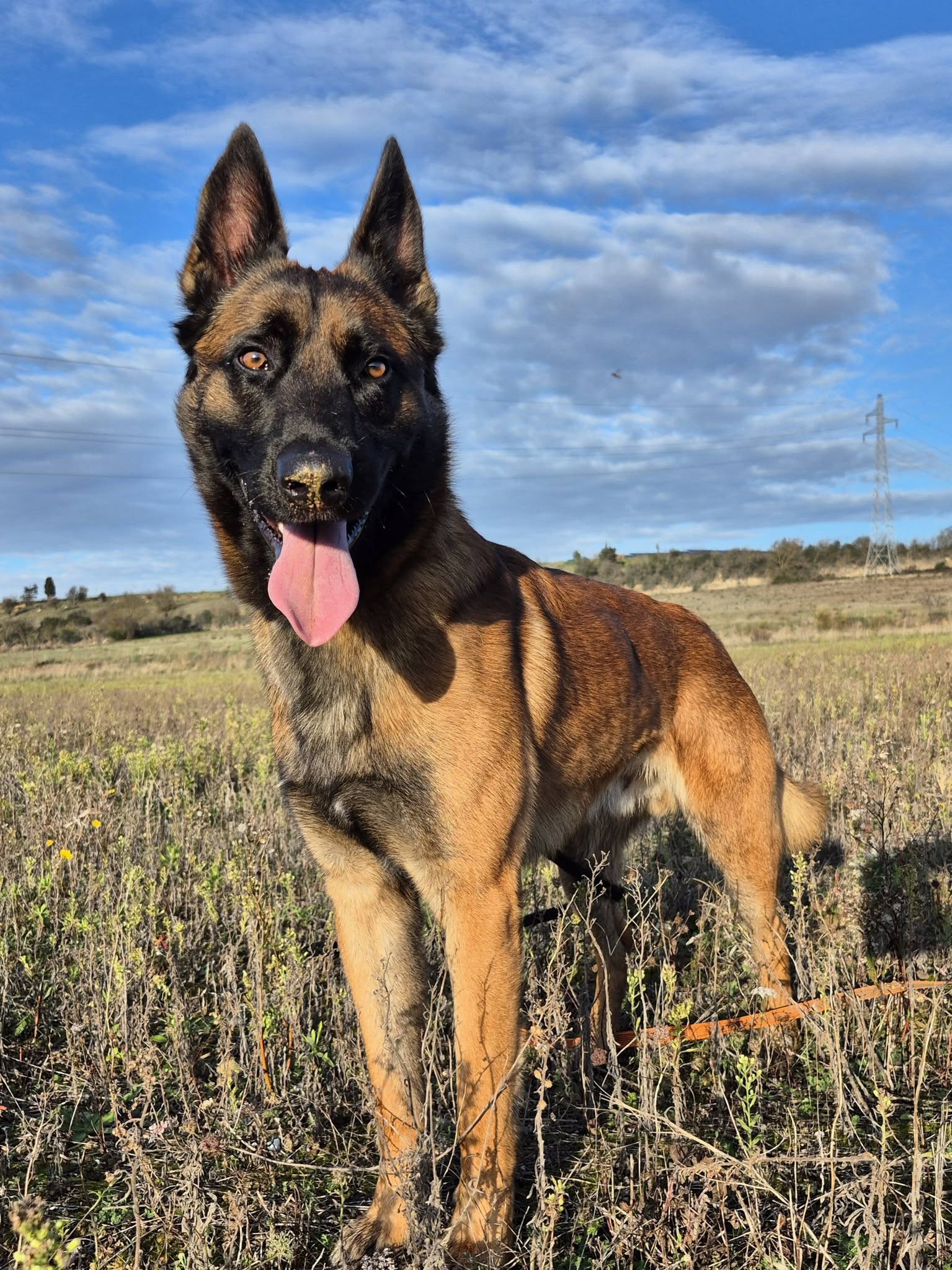 598861117_10240174515482654_5425020247320726235_n