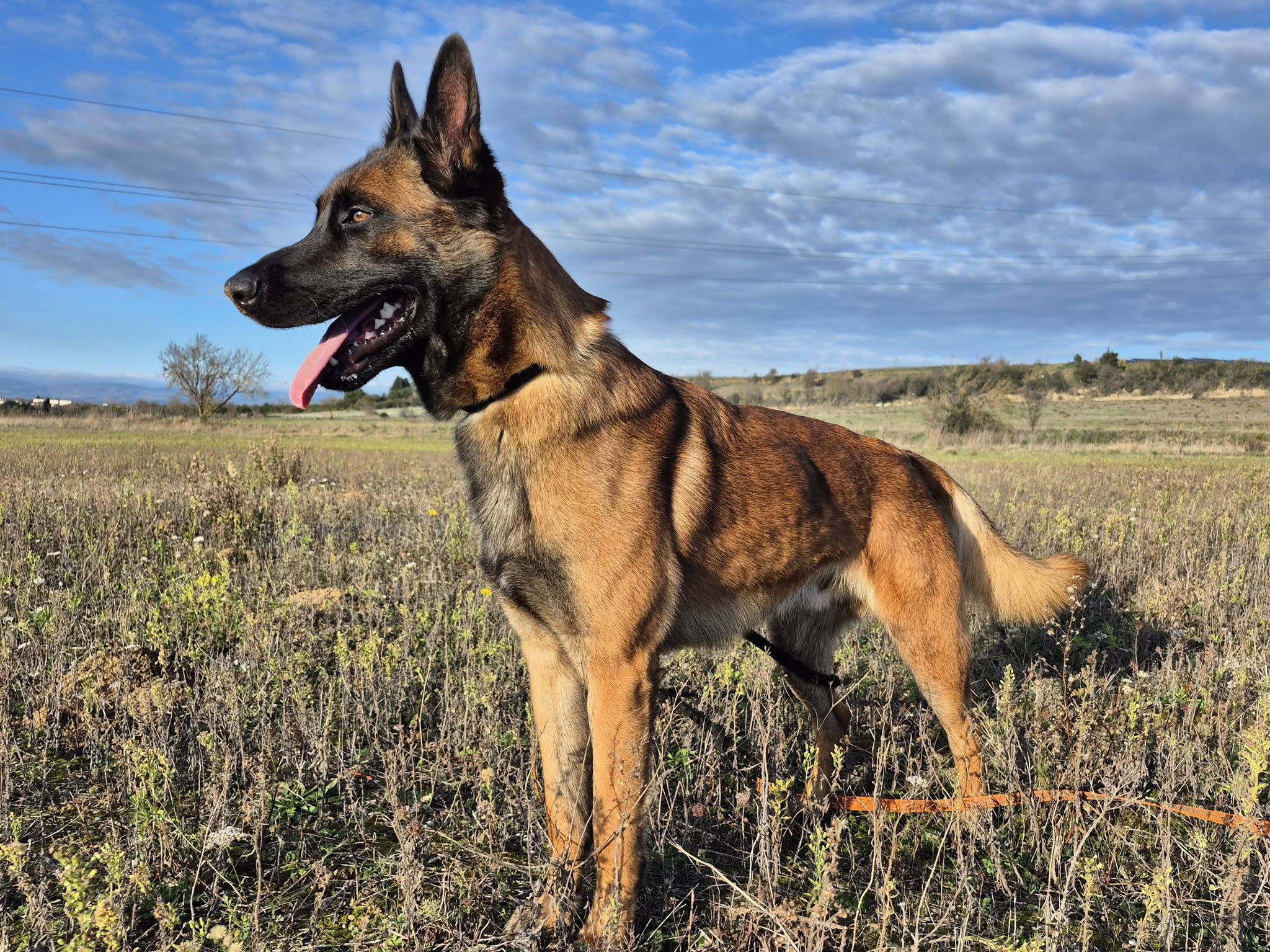 598900723_10240174517642708_6603468747363496622_n