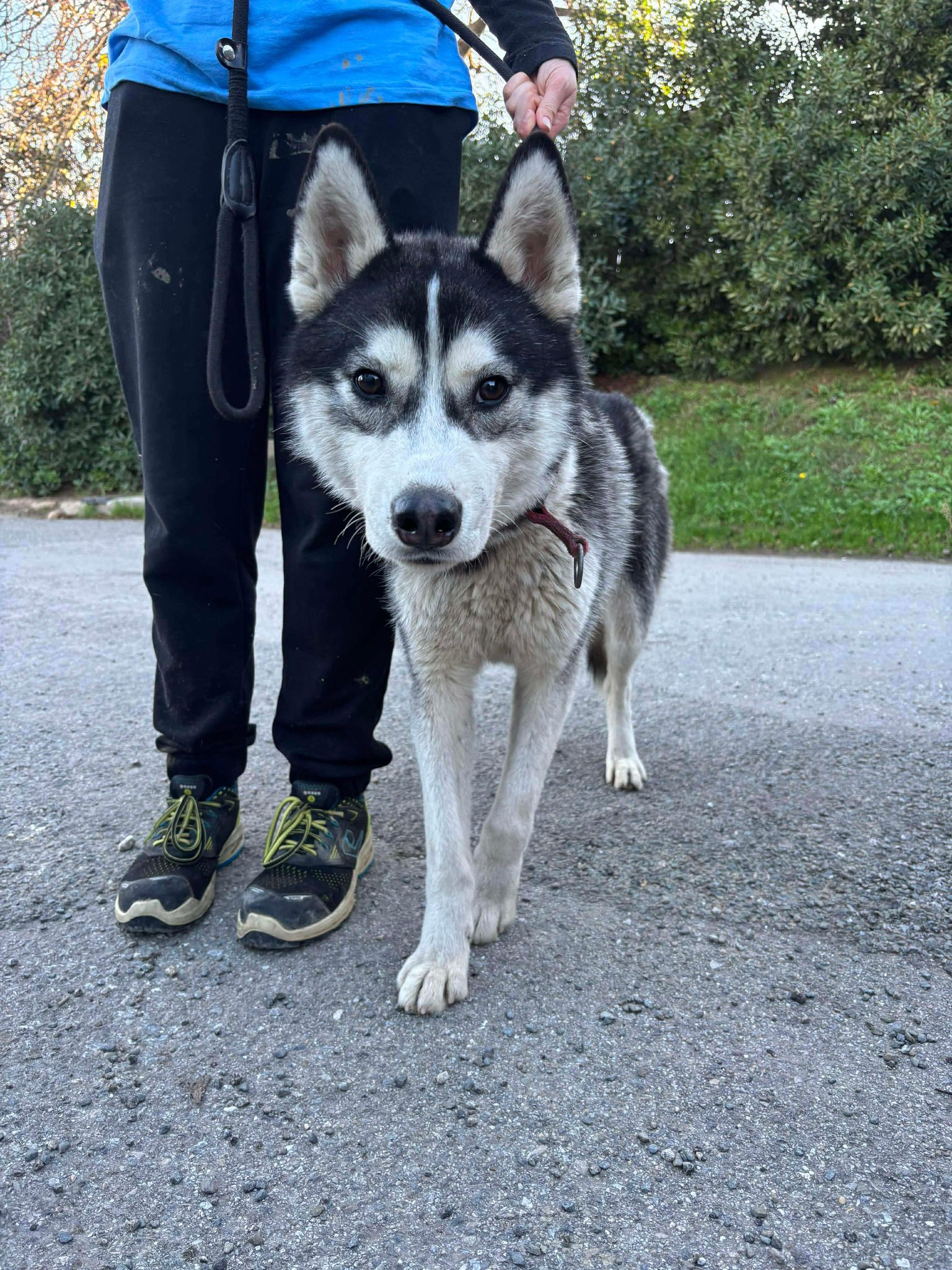 600262405_1273439688143070_3228667010947158648_n