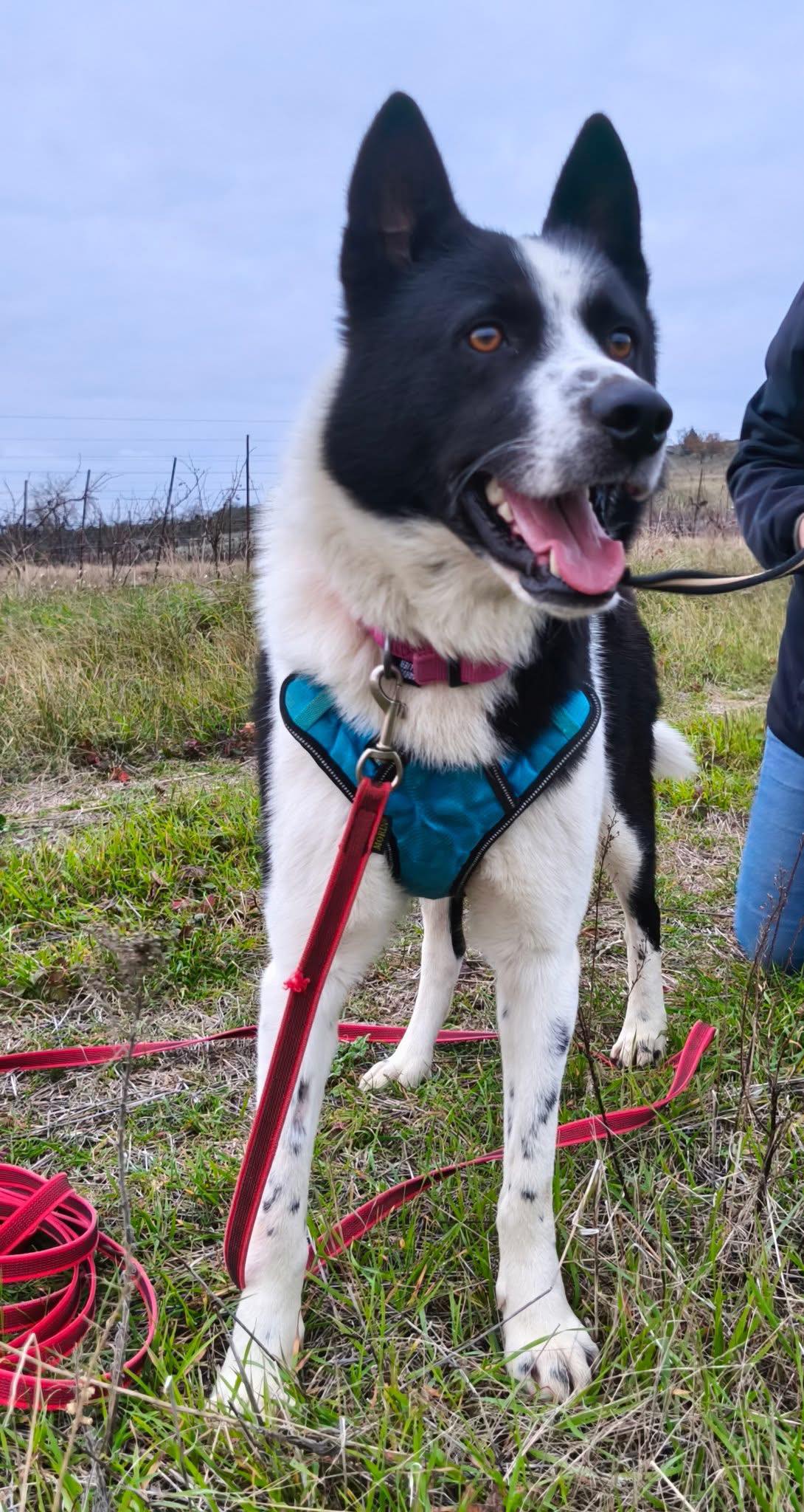 600406100_1276463254507380_1182483984420106846_n