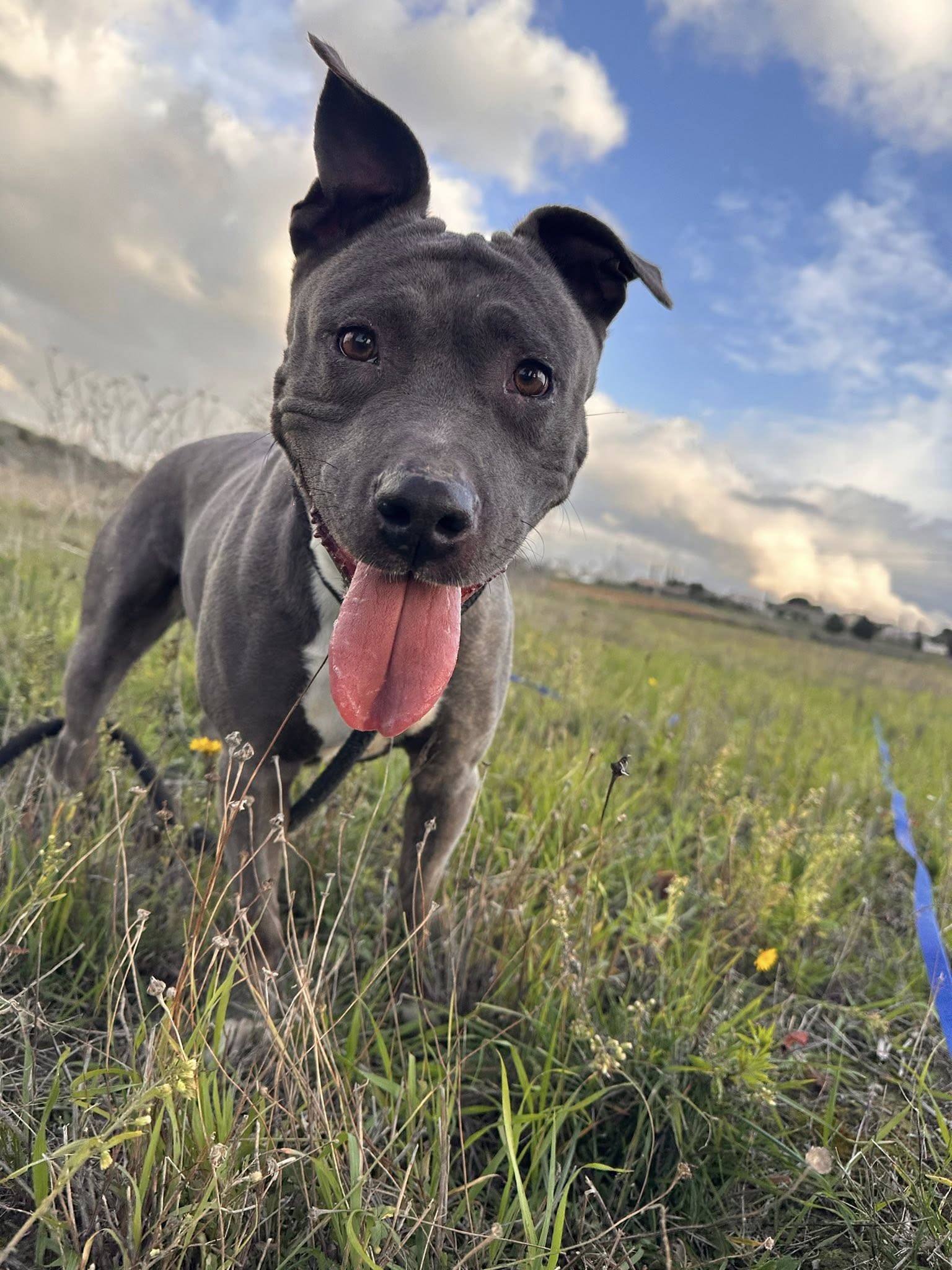 Lire la suite à propos de l’article Maya